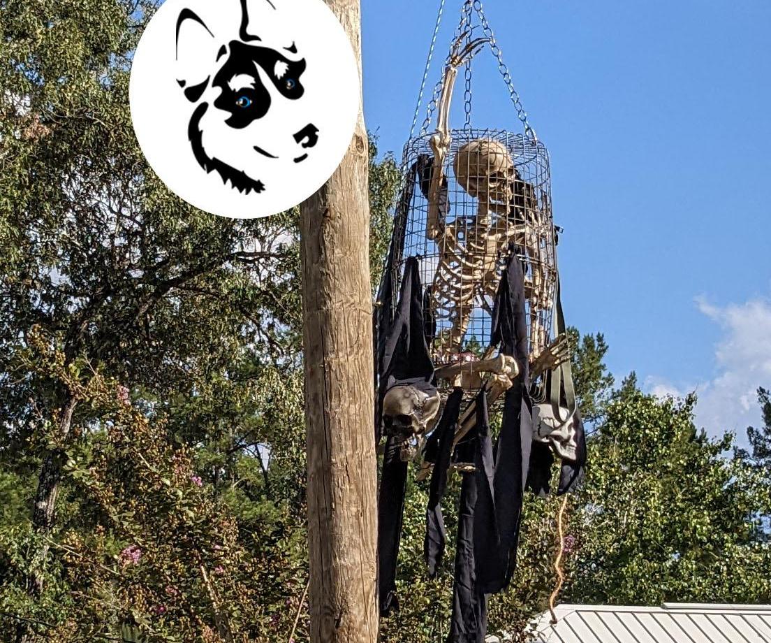 Hanging Cage Halloween Decor