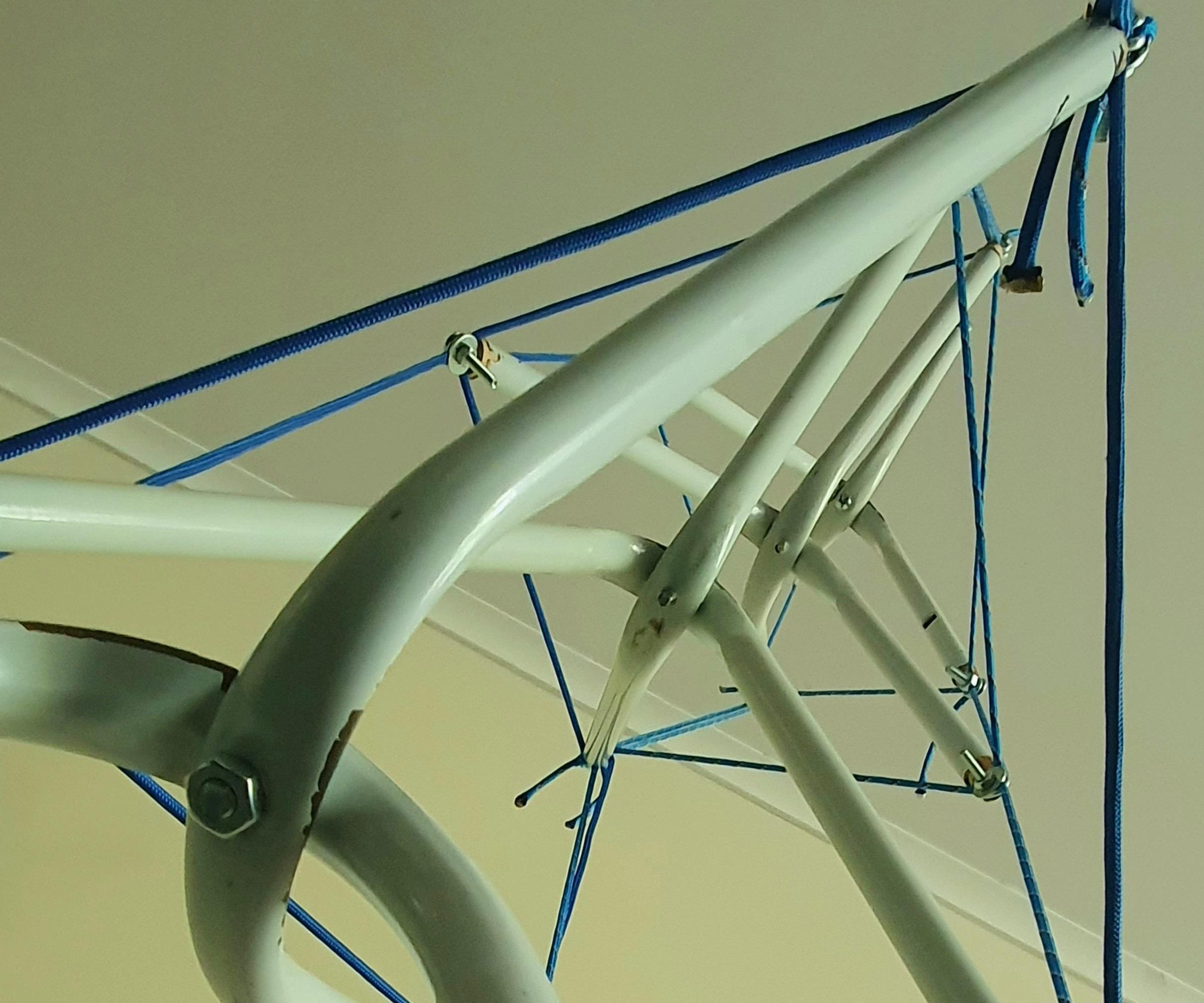 Tensegrity Passionfruit Climber