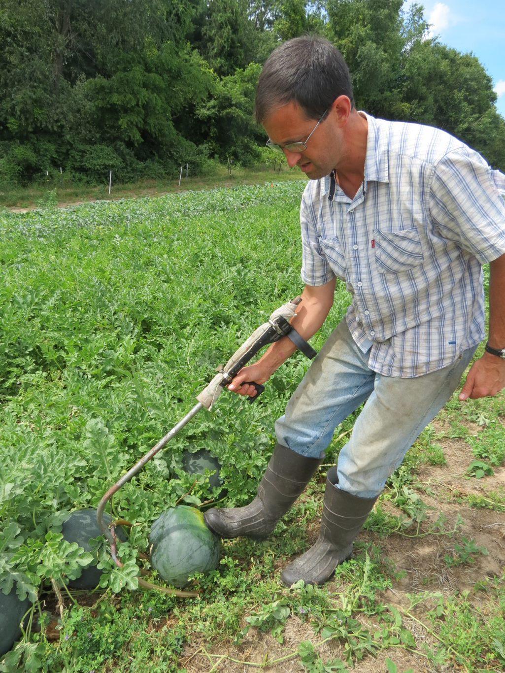 Pumpkin Lifter Assistive Technology