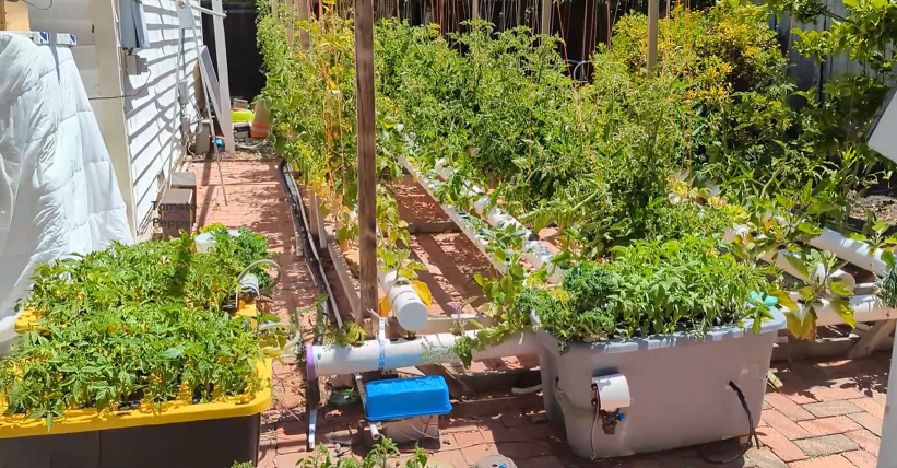 Home Built Hydroponics Growing System