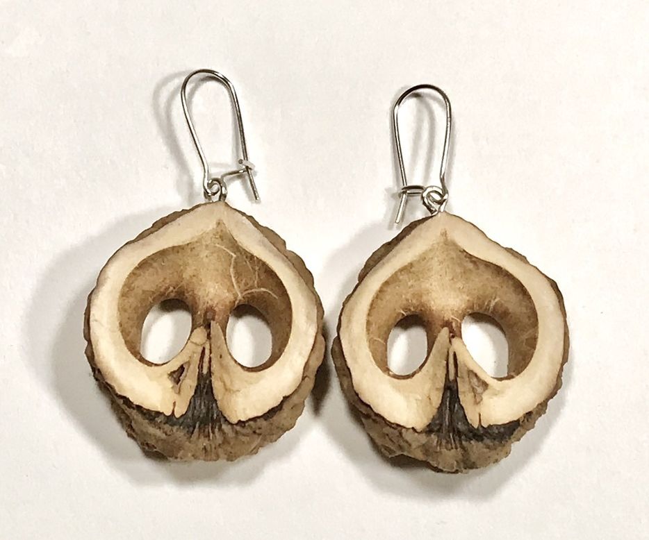 Black Walnut Shell Earrings