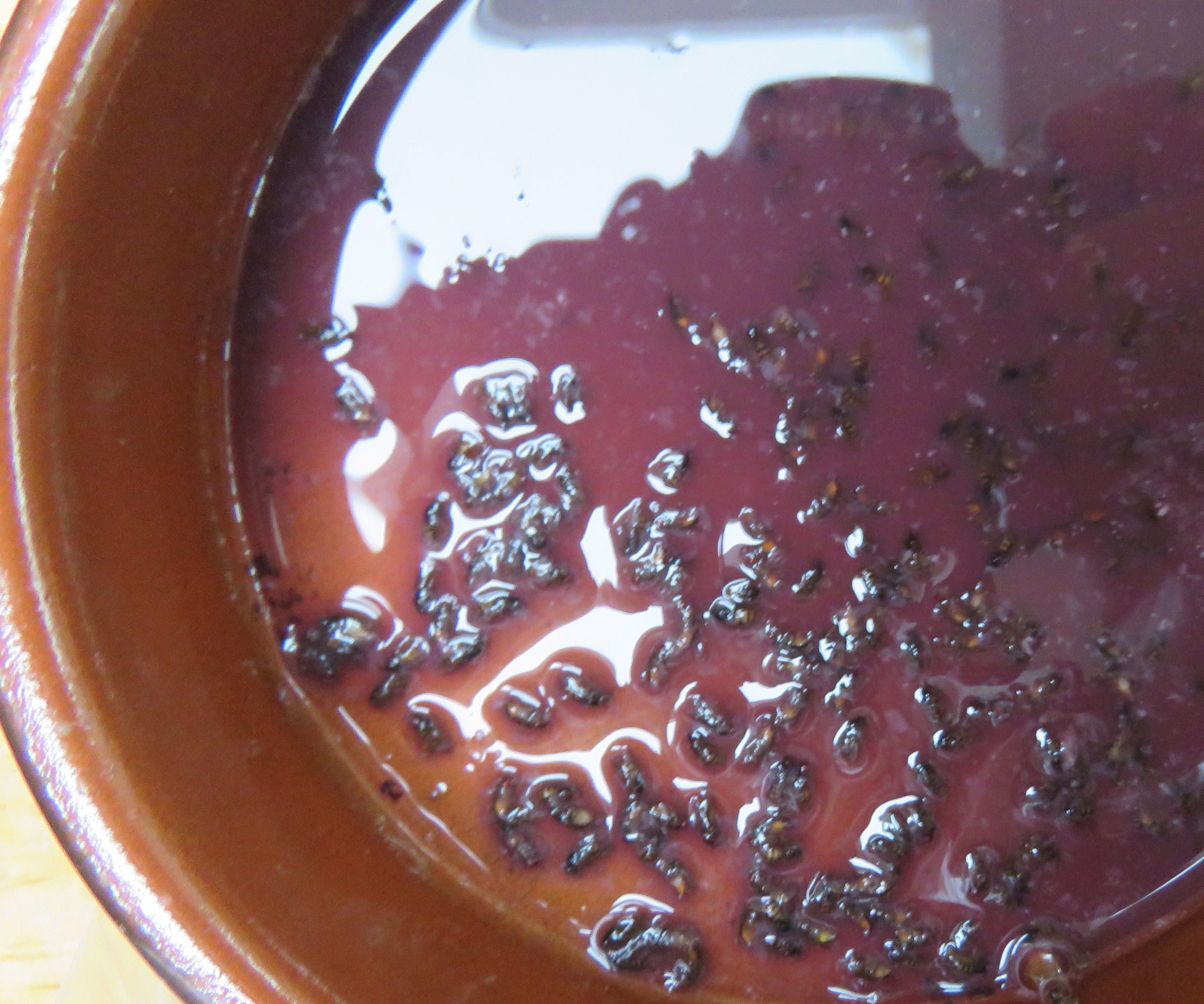 Best Home Made fruit fly trap attracts & kills flies guaranteed Ultimate Control (With Proof) 