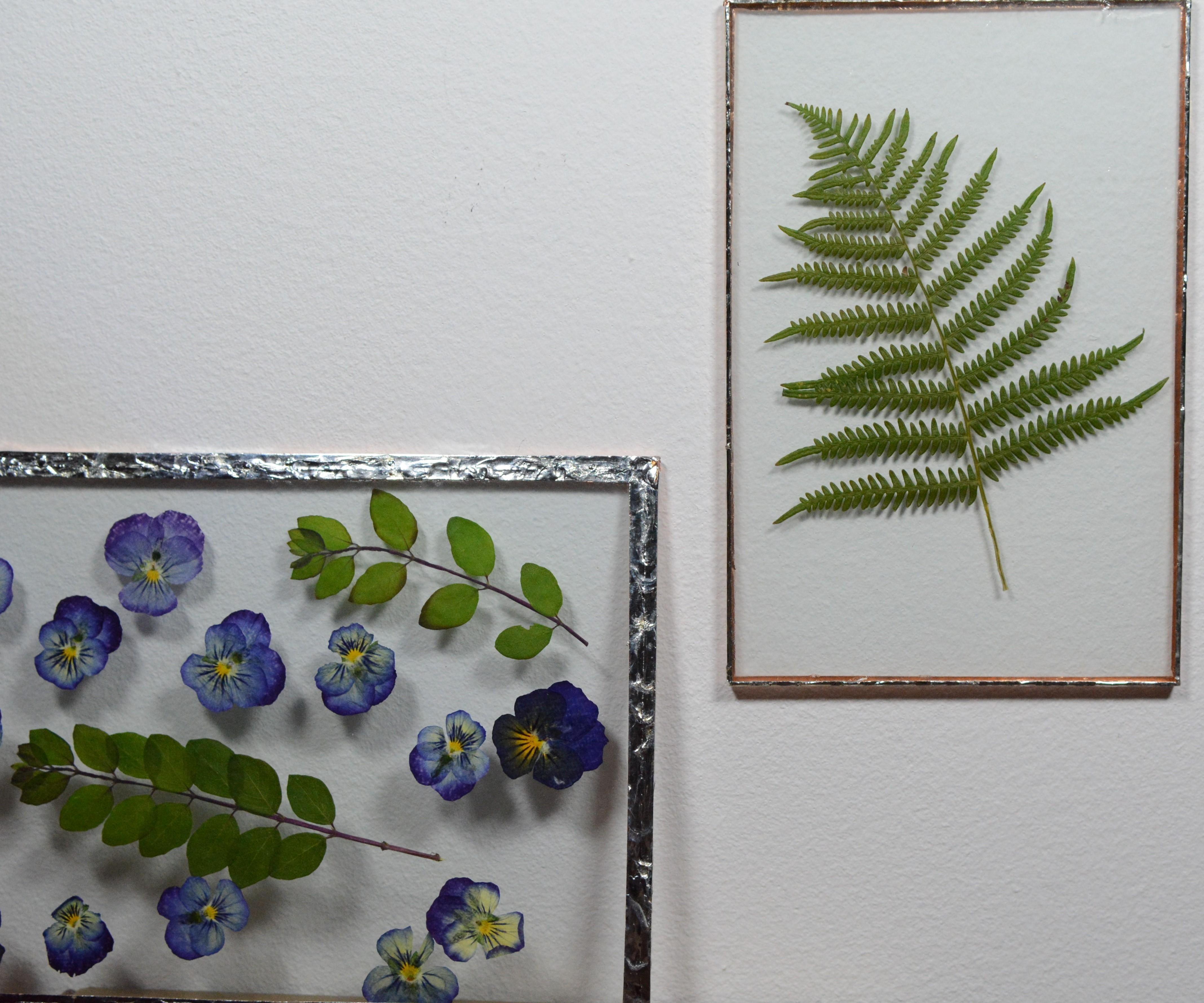 Pressed Flowers Wall Art 