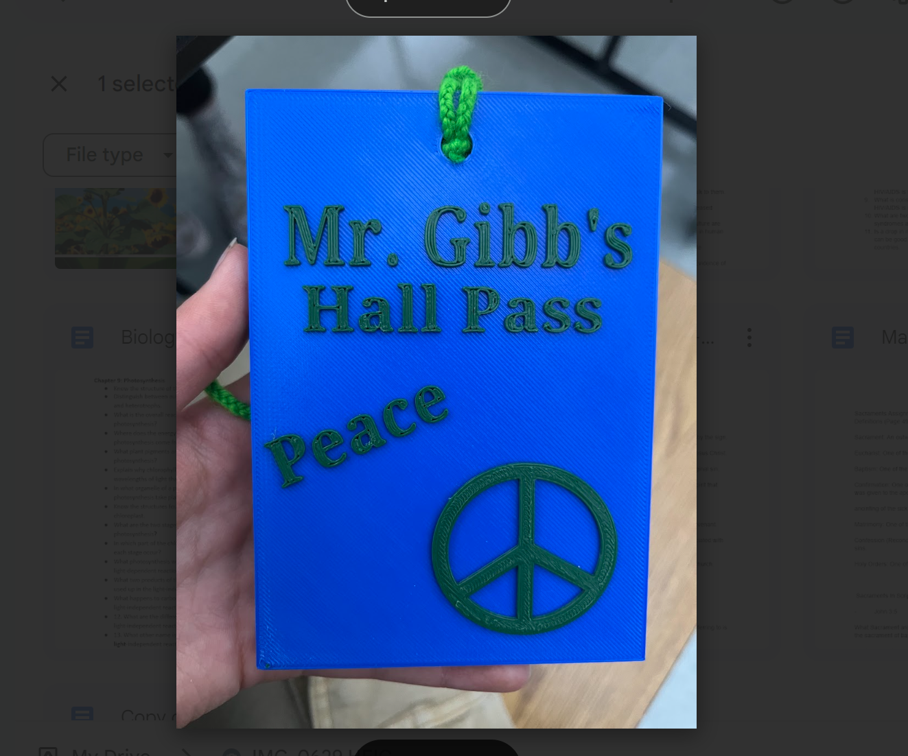 3D Printed Hall Pass