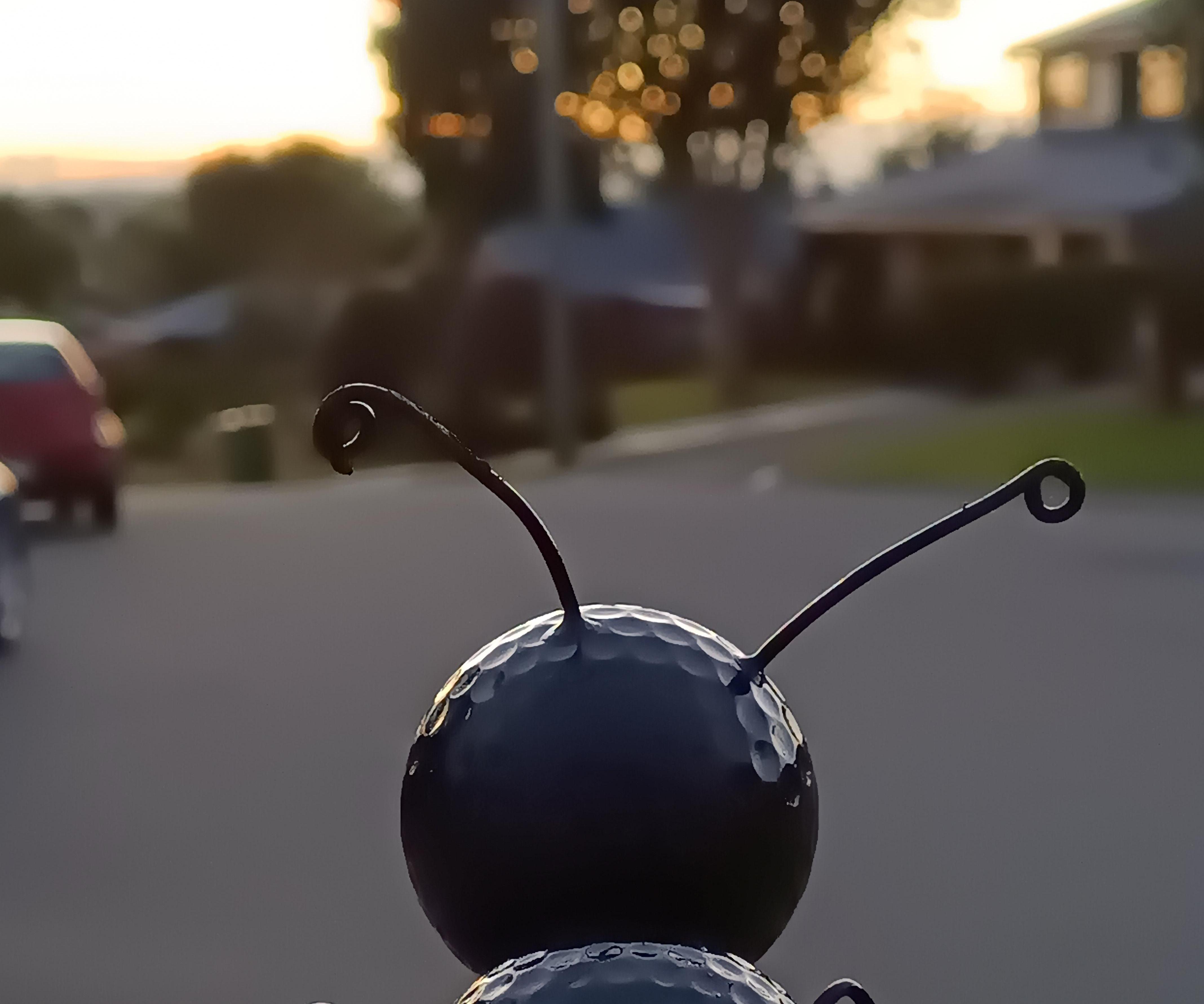 George, the Golf Ball Ant - Recycling Fun Craft for All the Family to Get Involved With.