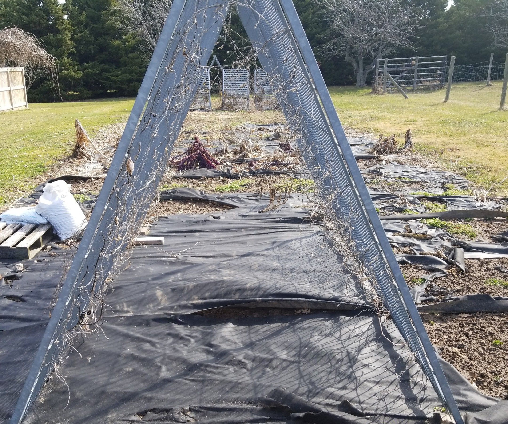Spring Cleaning the Organic Garden