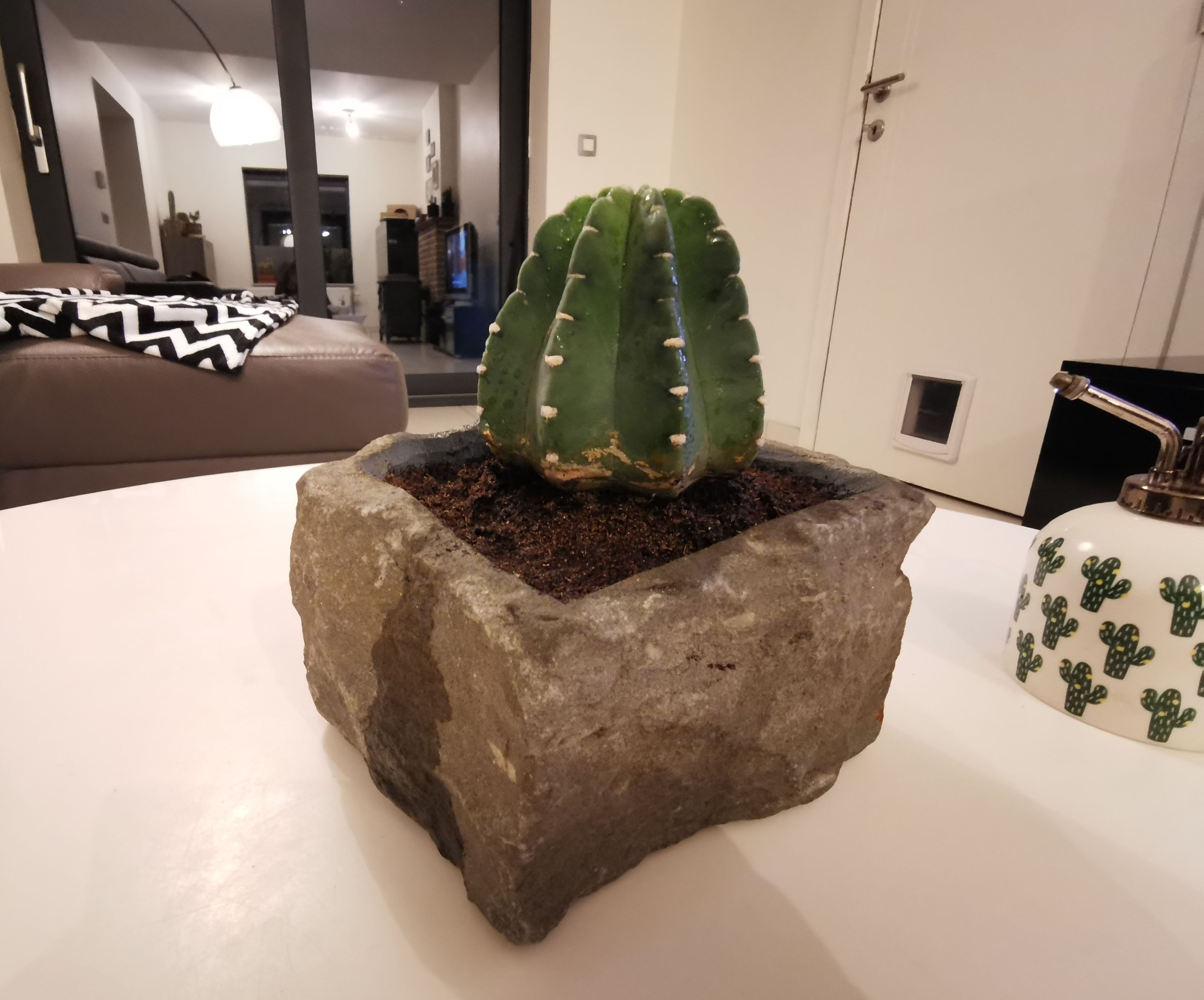 Stone Flowerpot 