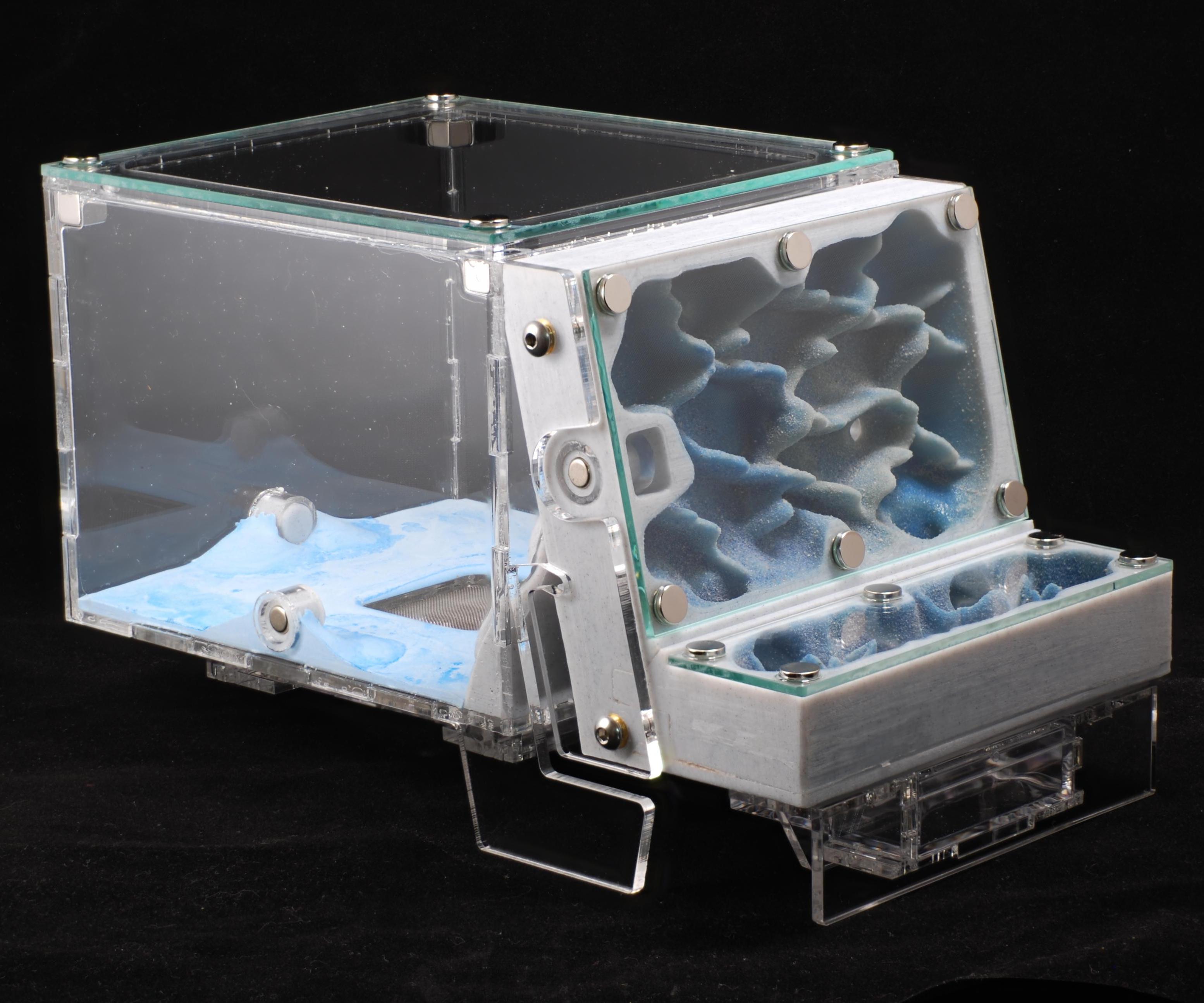 Medium Modular Formicarium (Ant Farm)