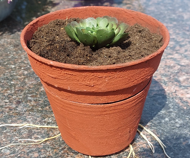 Interactieve Bloempot - Tijmen Van Oene