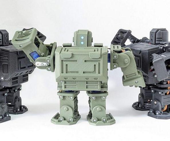 Raspberry Pi Pico Open Remote Control Walking Robot "EasyPico"