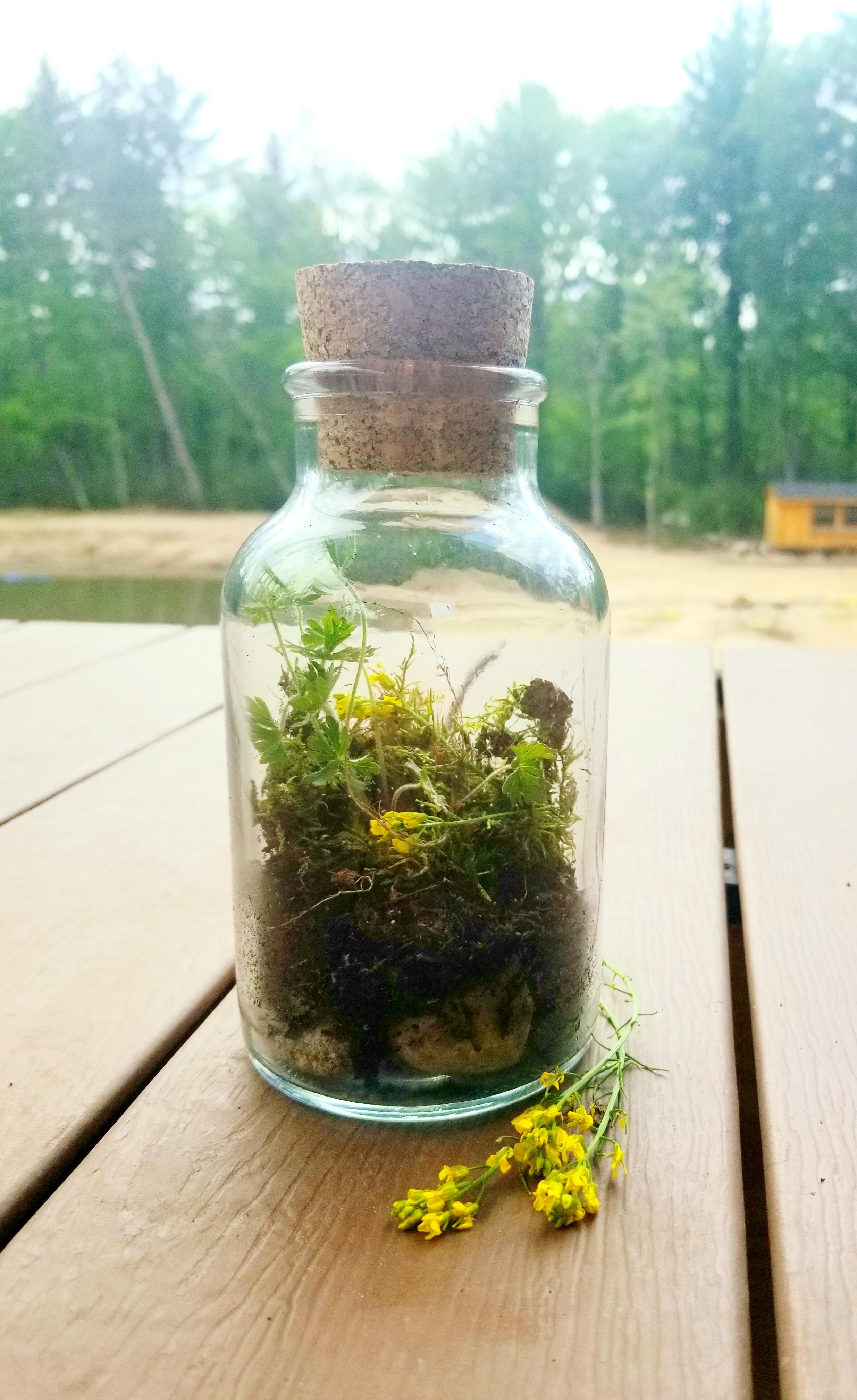 DIY Modern Terrarium Décor 