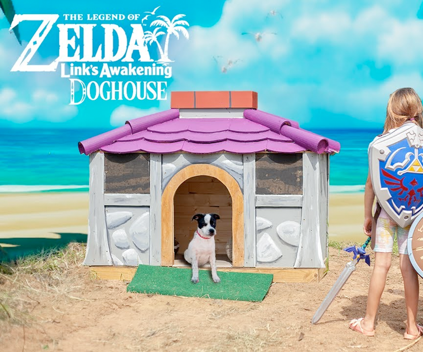 Legend of Zelda Doghouse