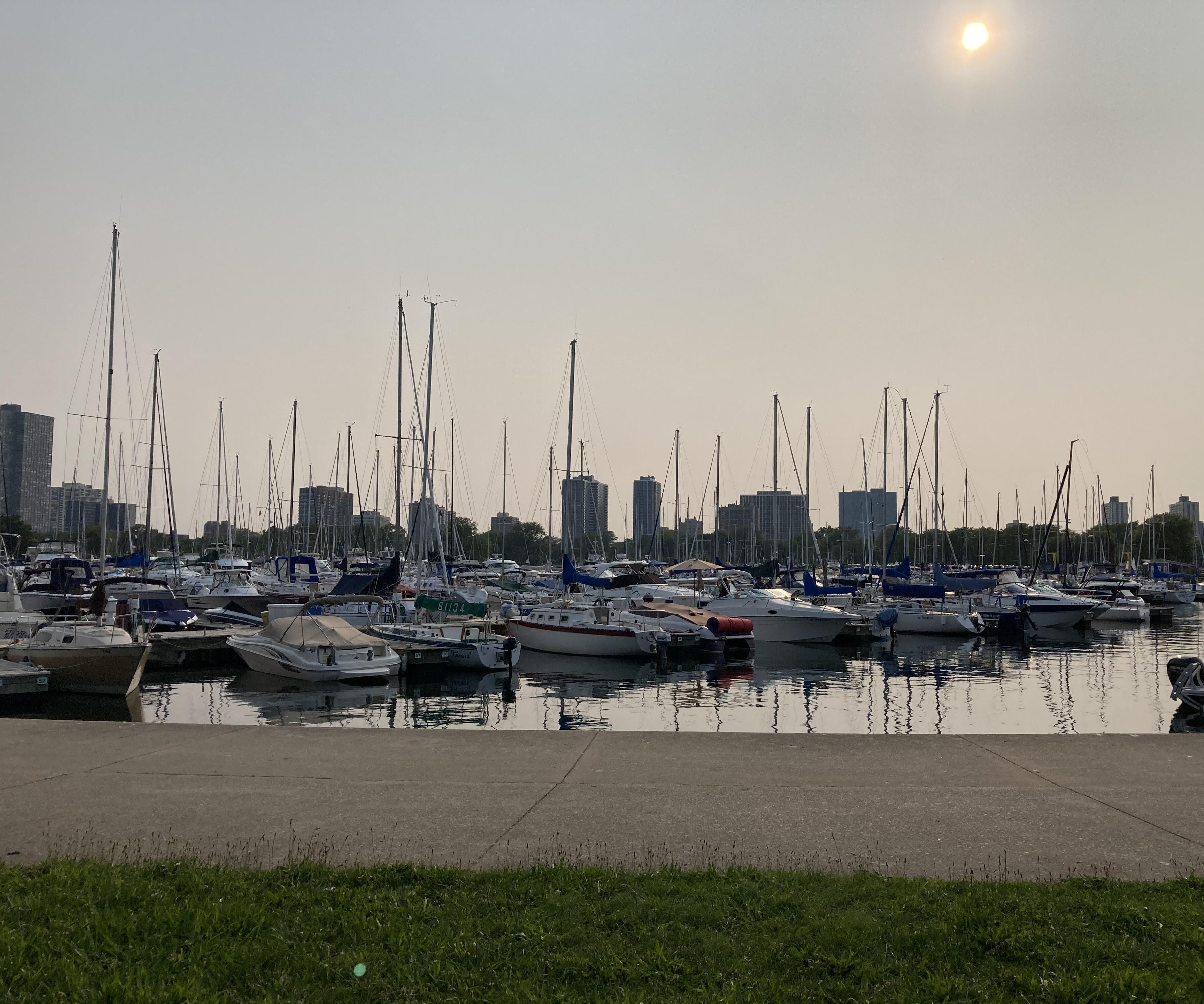 Acanthis: Bird-Friendly Lighting System 