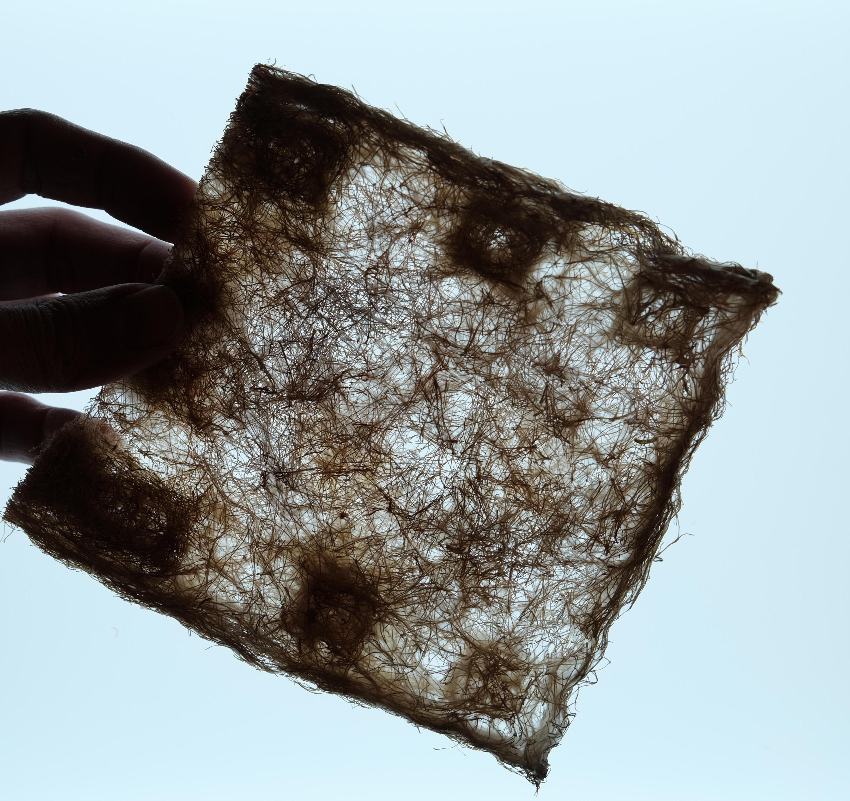 Make Wheatgrass Root Mats