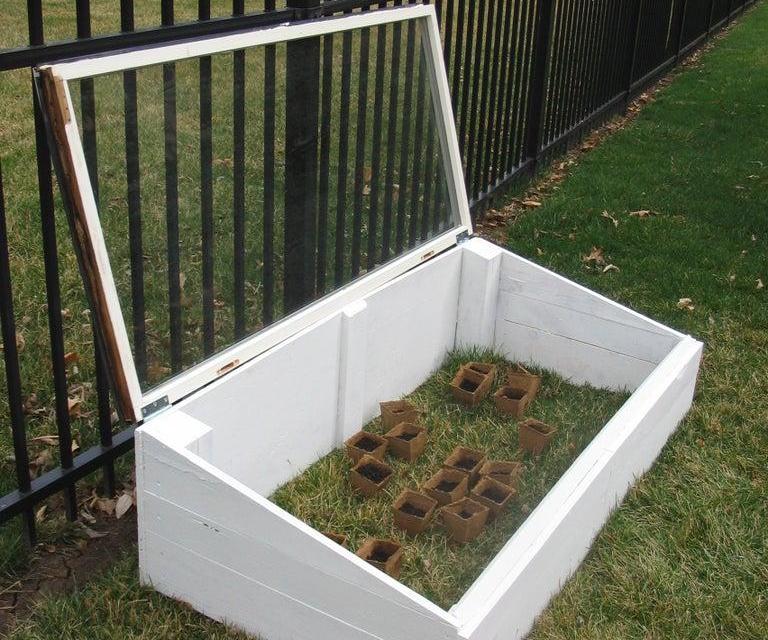 How to Build a Mini Greenhouse