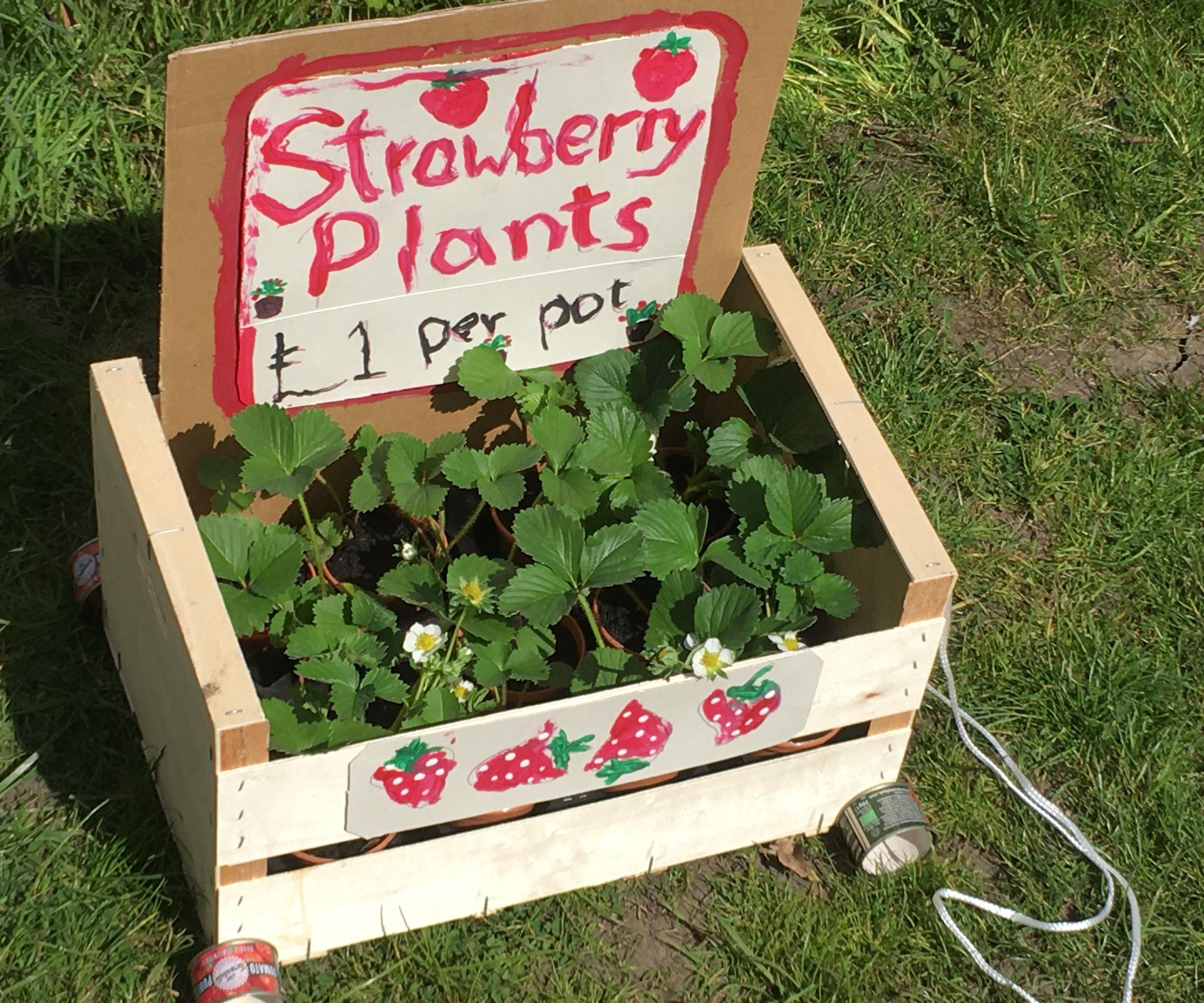 Mobile Plant Shop / Seed Swap Shop