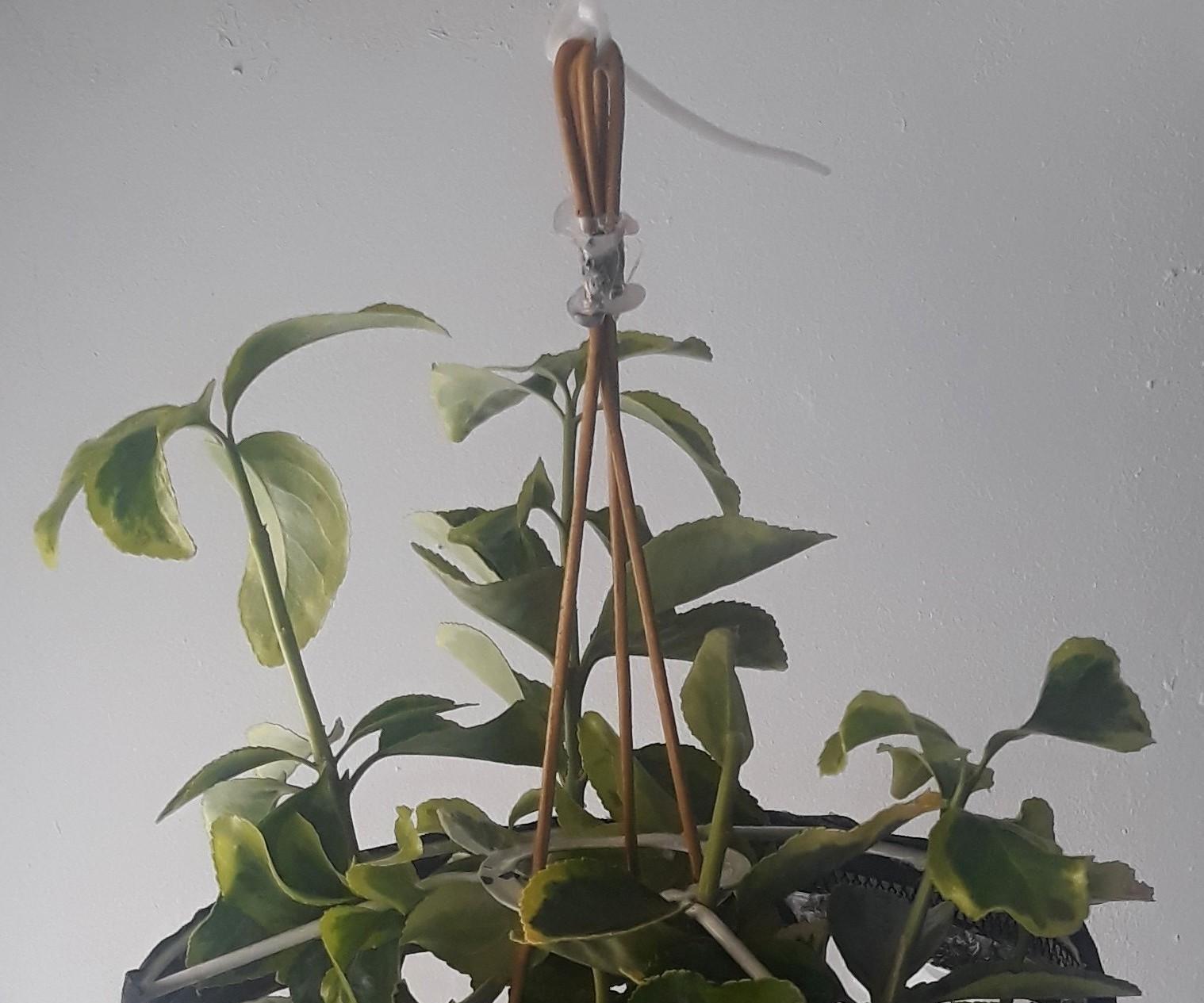 Zippered Hanging Plant Protector