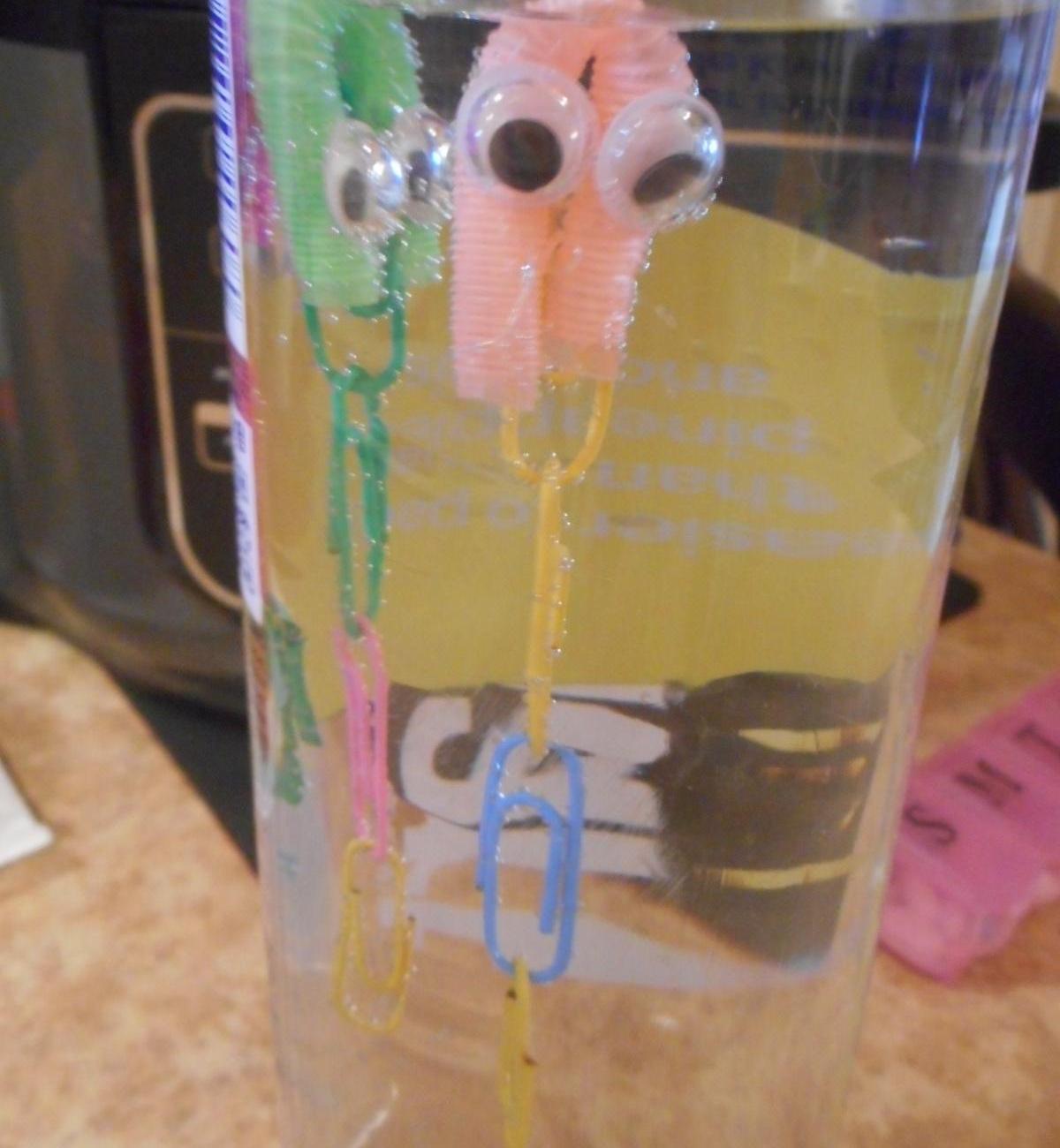 SWIMMING OCTOPUS IN a WATER BOTTLE