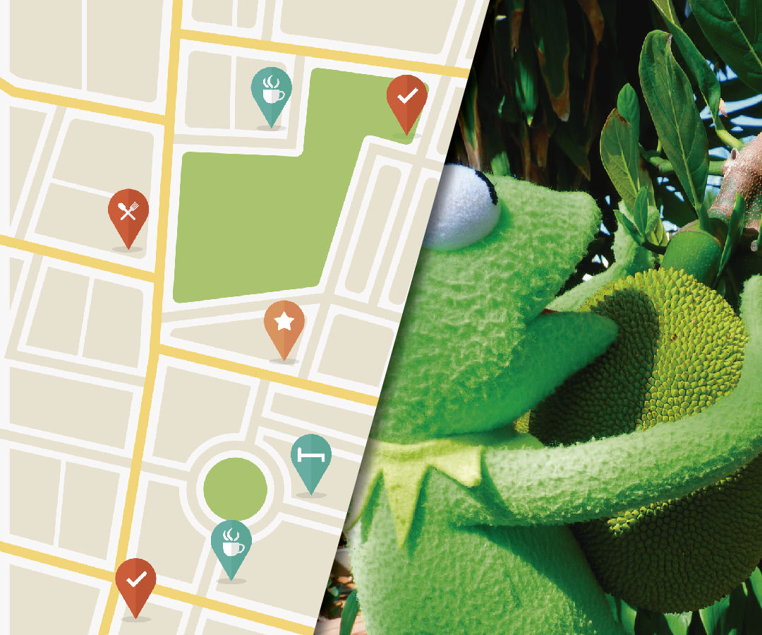 How to Find a Jackfruit - the Map!