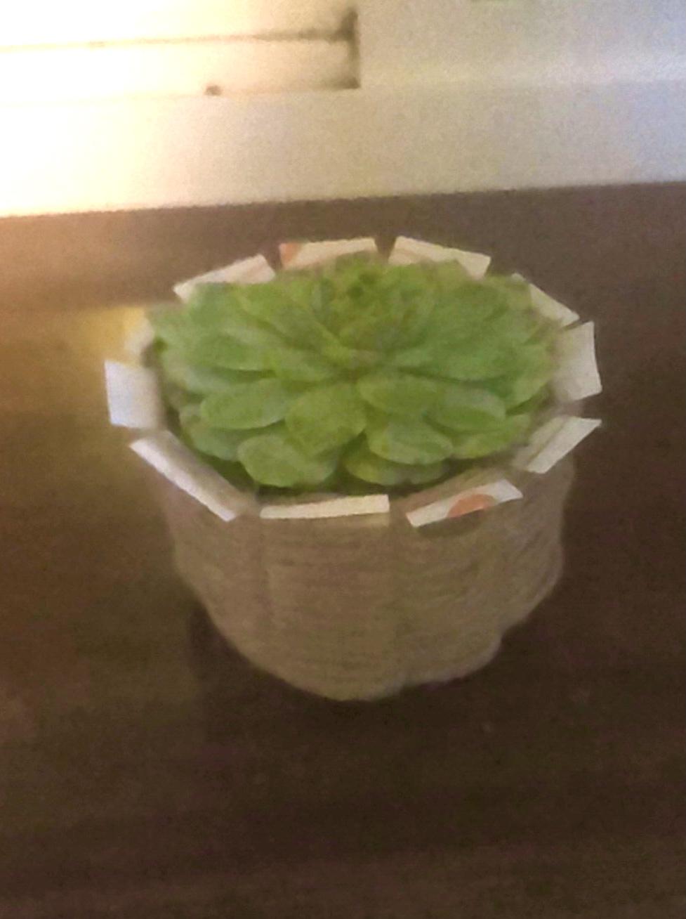 How to Make a Paper Cup Succulent Planter!