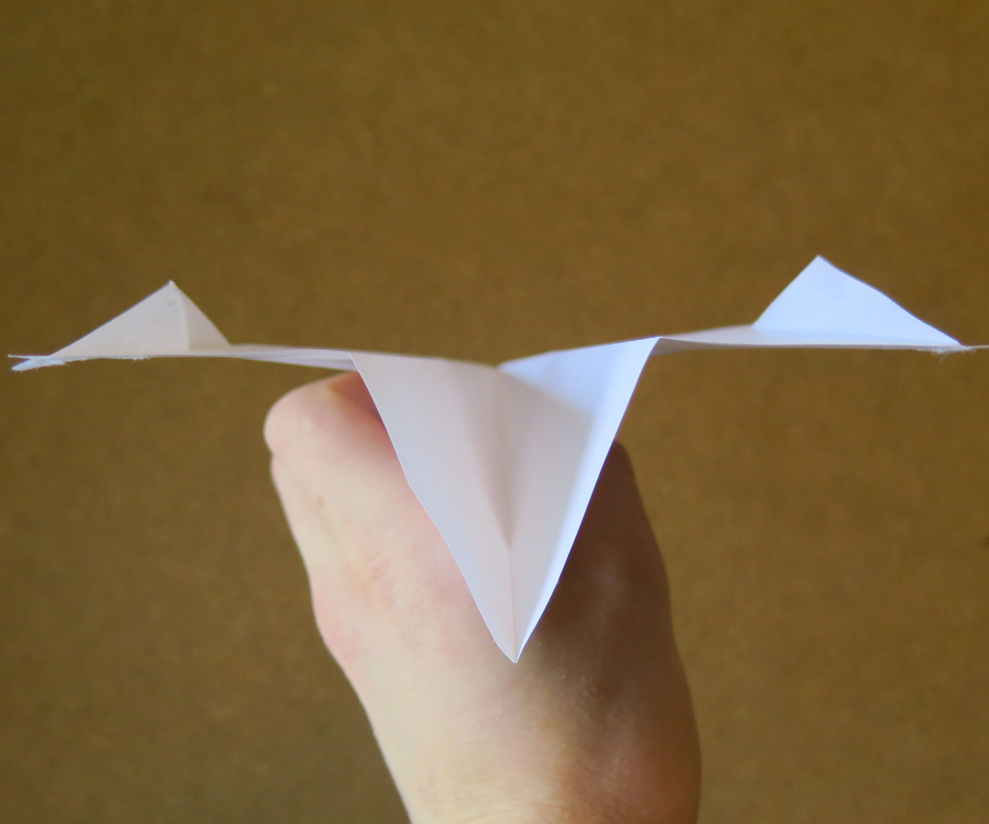 Contest Winning Paper Airplane