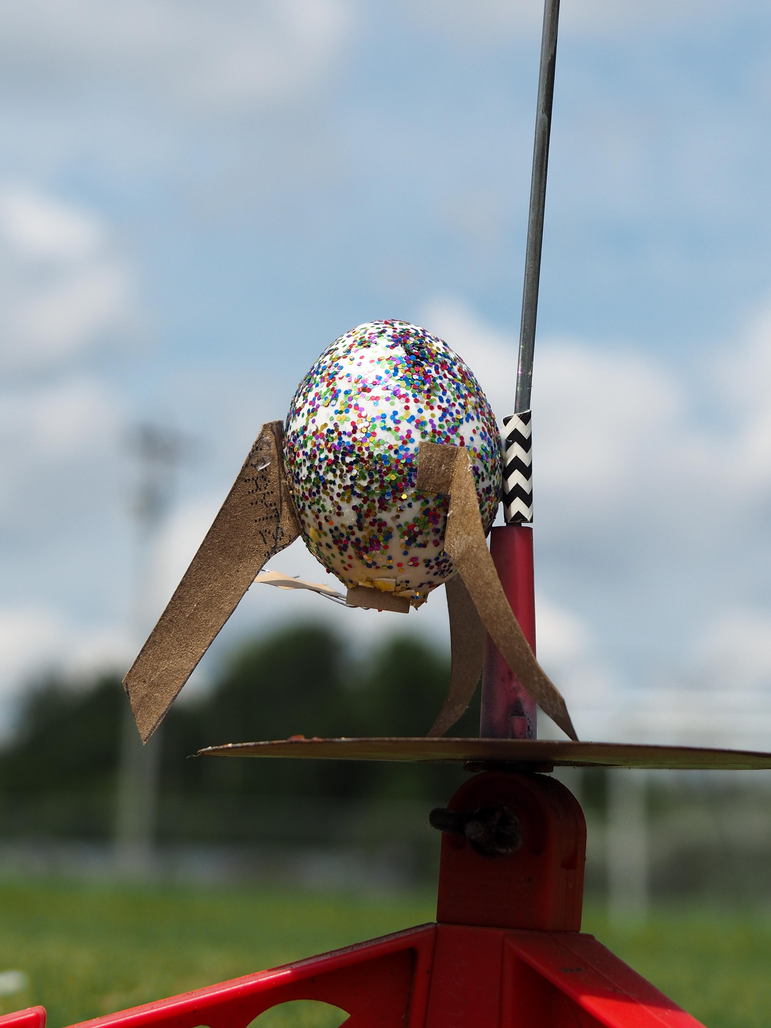 Eggs Up- How to Make and Launch a Rocket Egg
