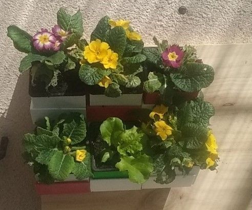 Mur Végetal Modulable Imprimable