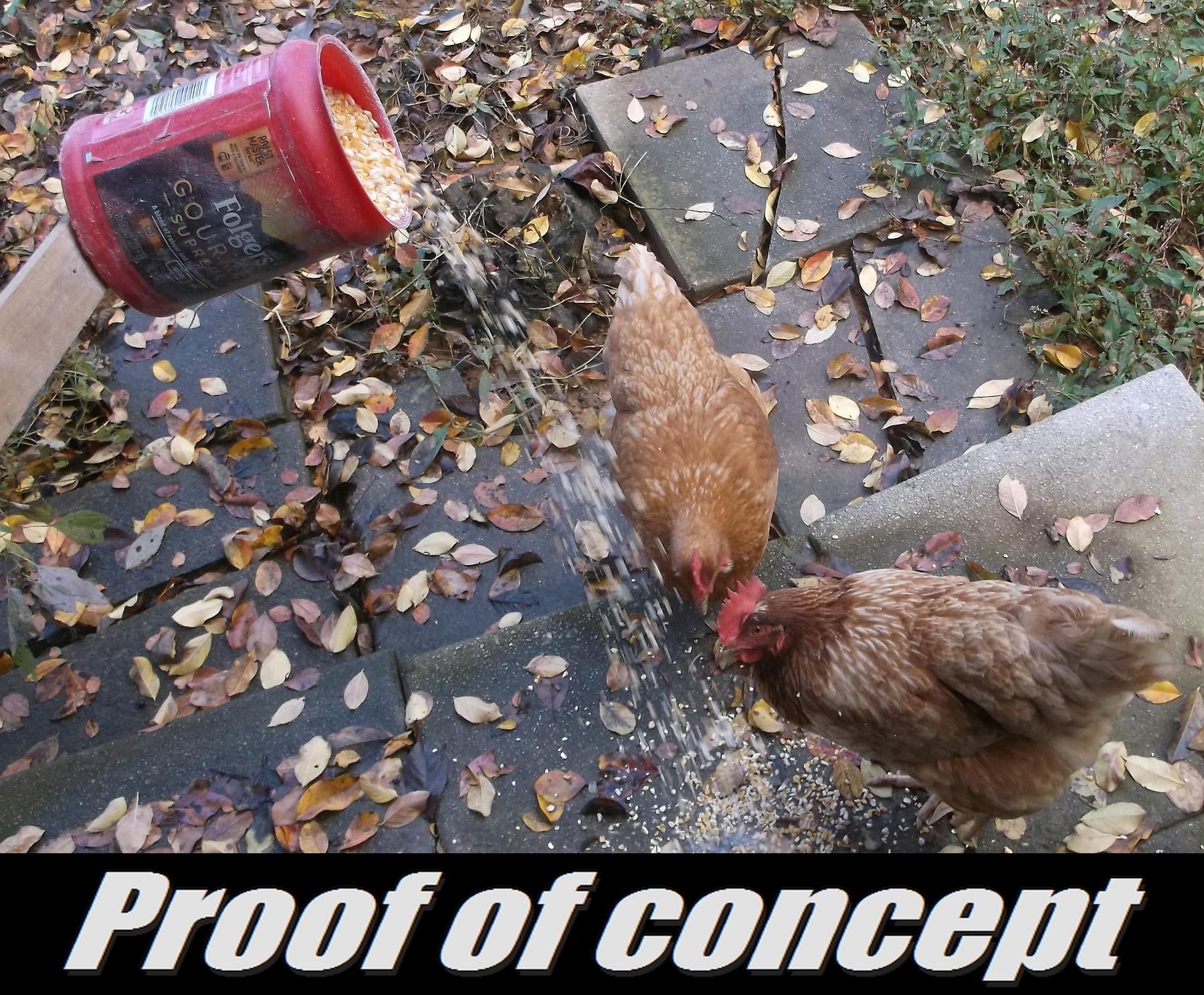 Feed Scoops From Coffee