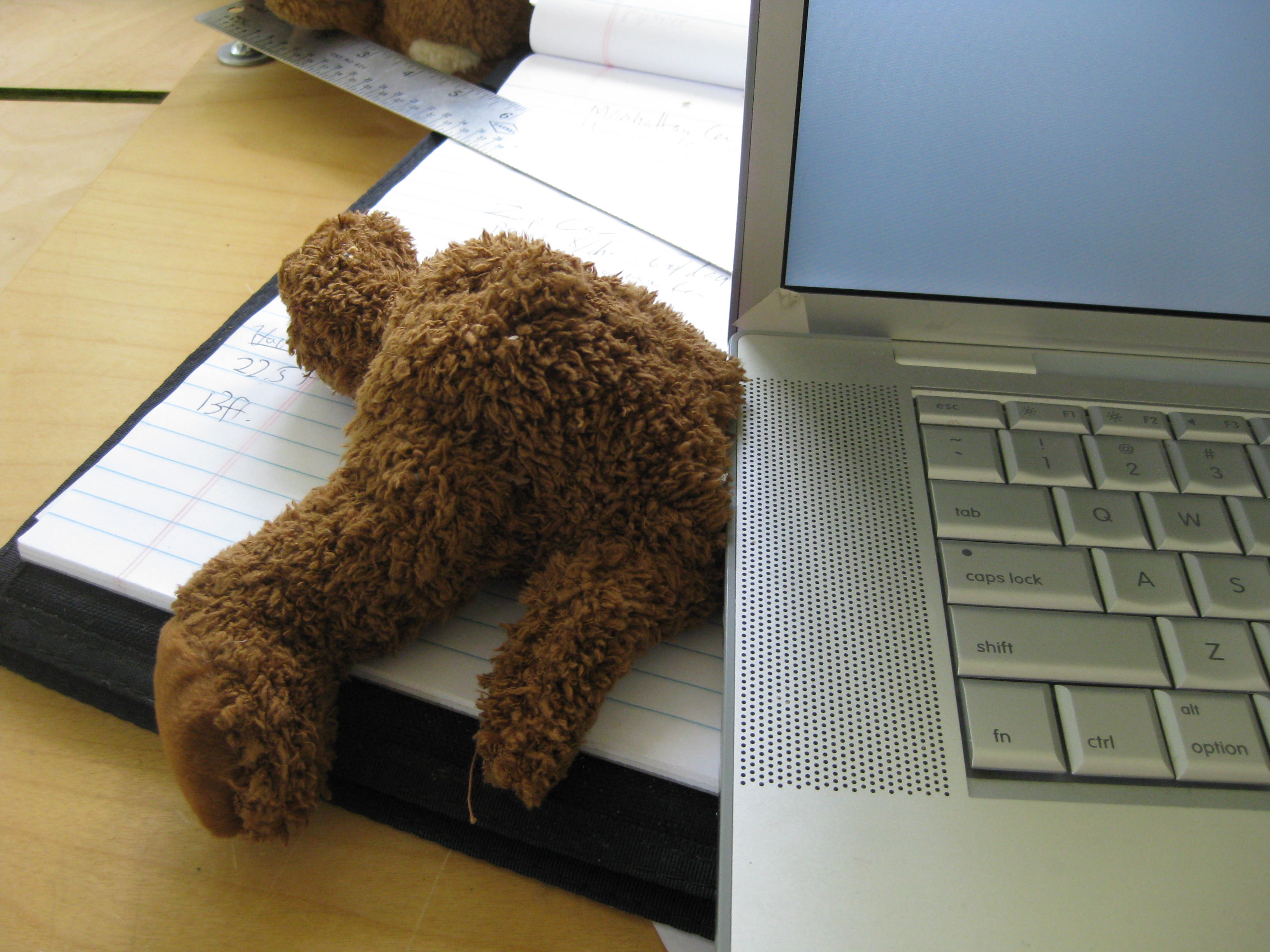 Teddy Bear USB Flash Drive (USBear?)