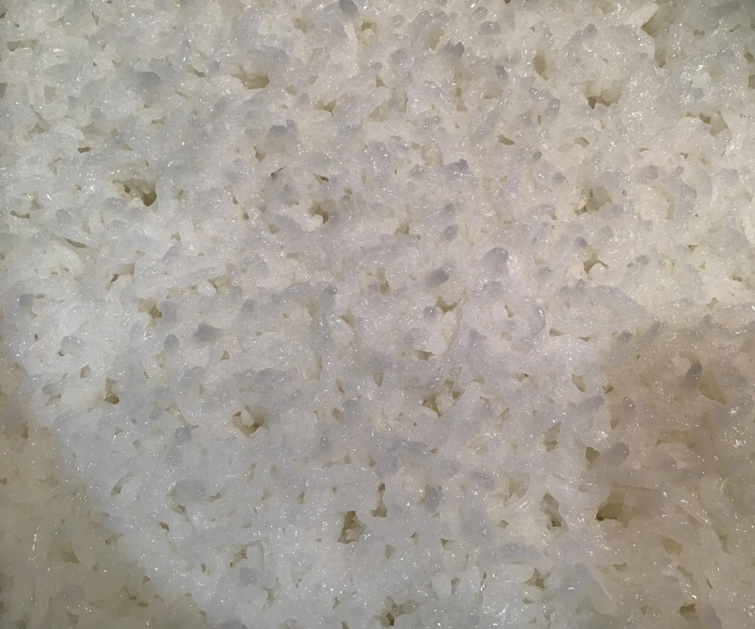 Rice and How to Make It