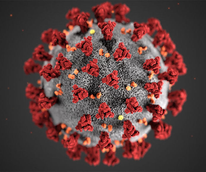 Corona Virus (COVID-19)