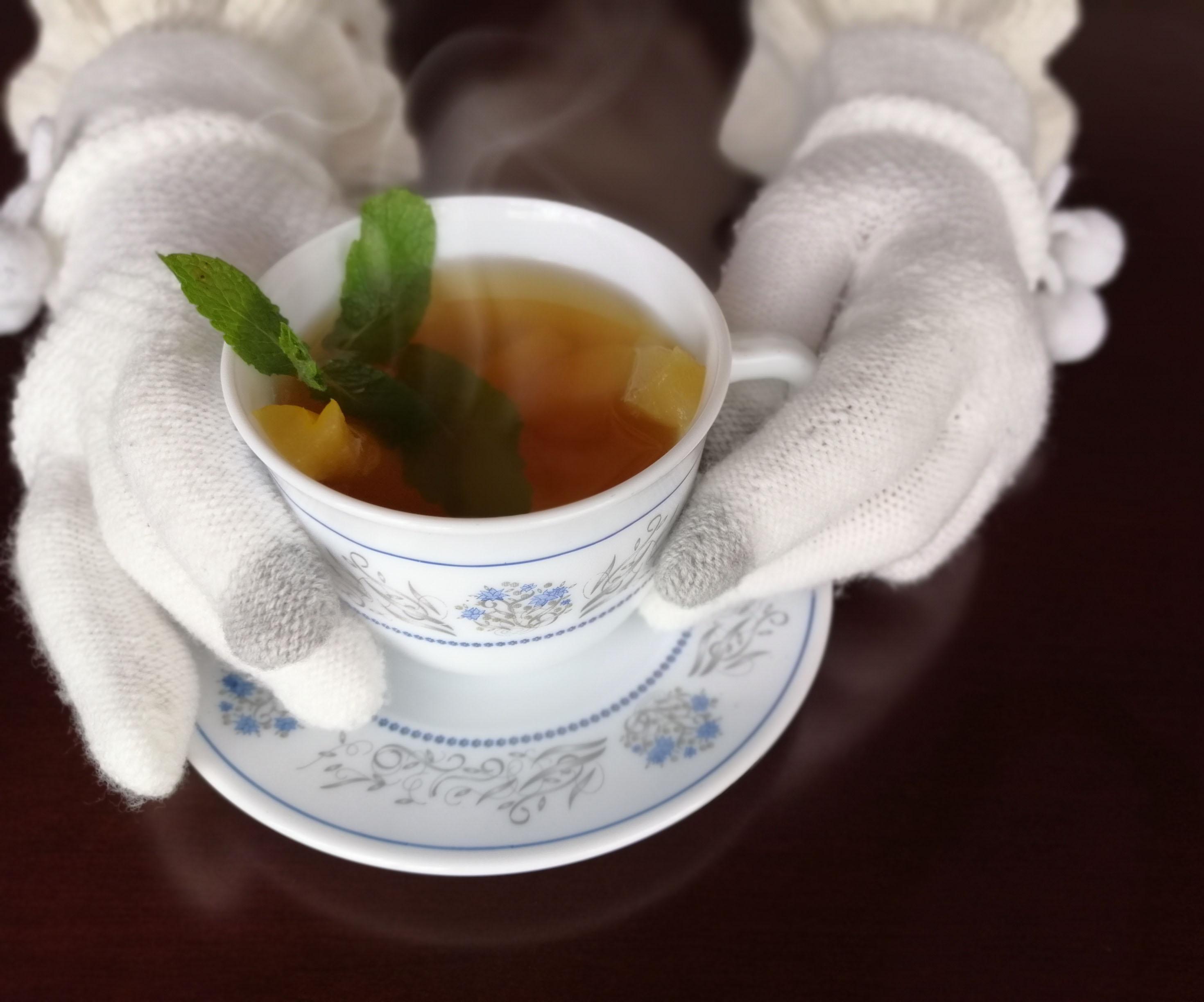 Perfect Aromatic Plants & Fruit Hot Drink (with Mountain Papaya, Apple, Cinnamon and More)