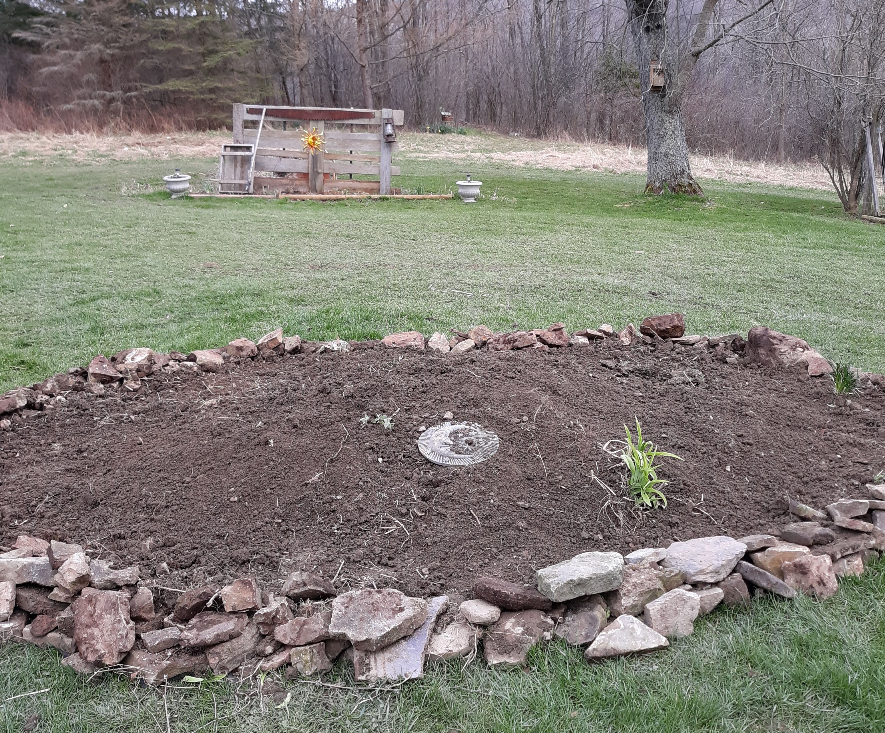 Starting a Country Flower Bed