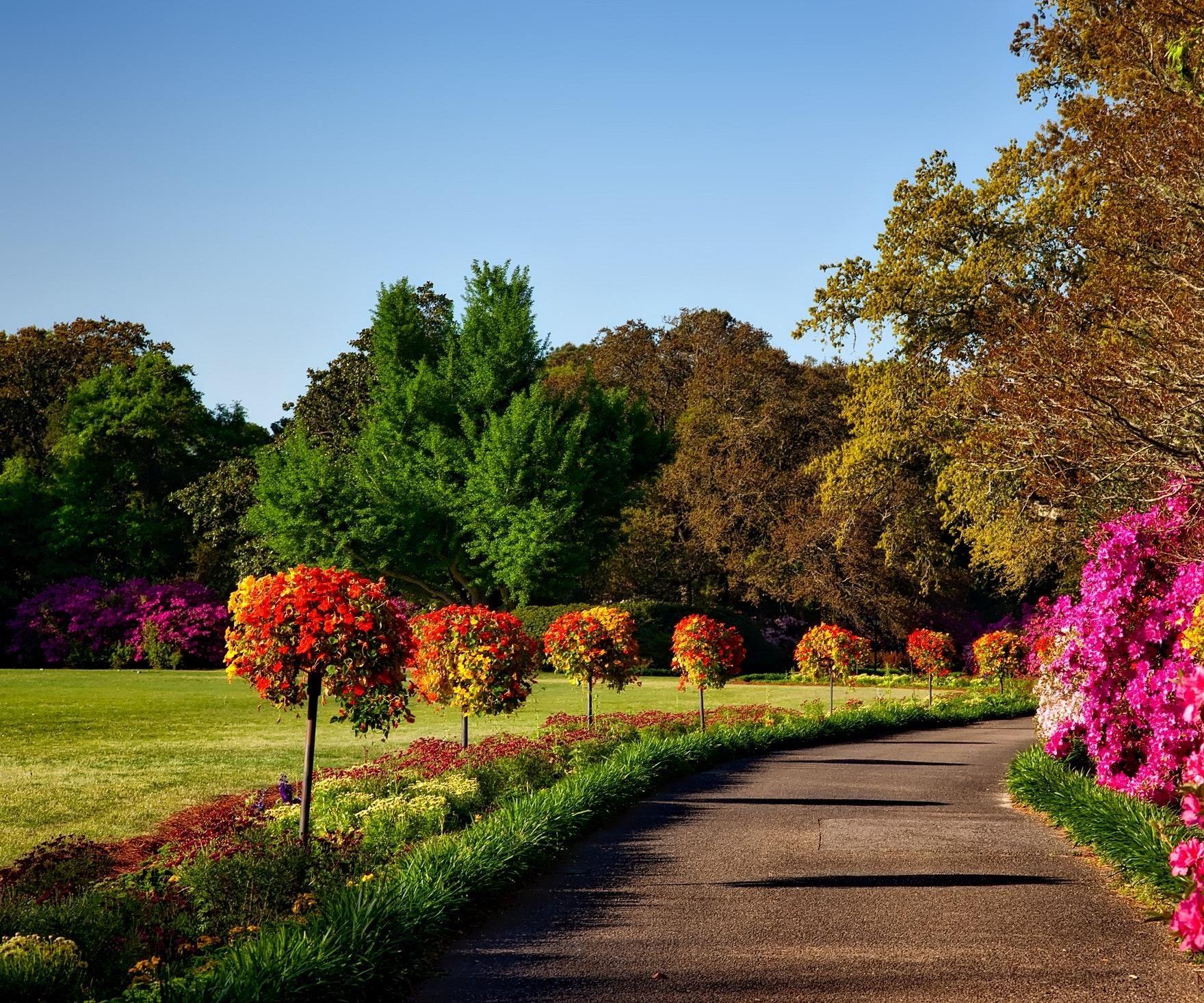 Preparing Your Lawn for Winter