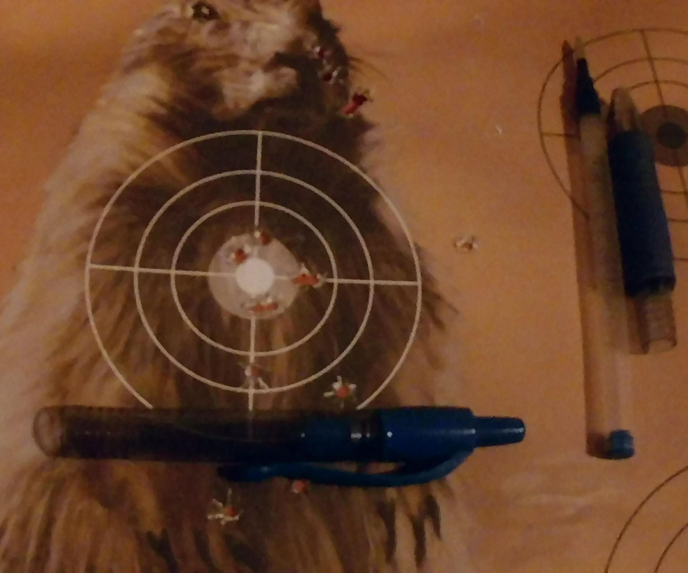 How to Make a Pen Gun From a Used G-2 PILOT Pen