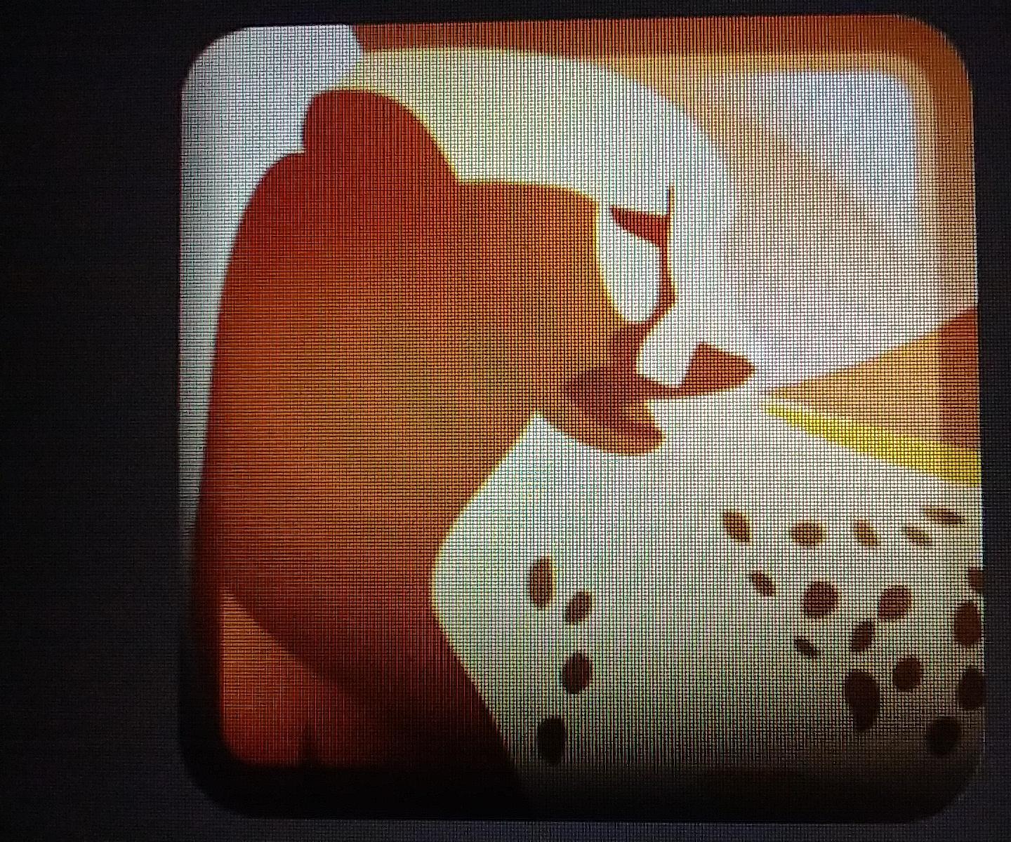 Golden Cheetah Get Riding Quickly