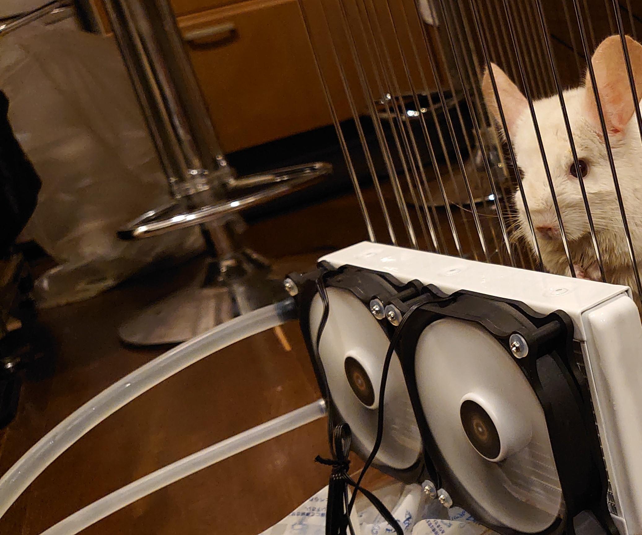 Pet Chinchilla Air Conditioner