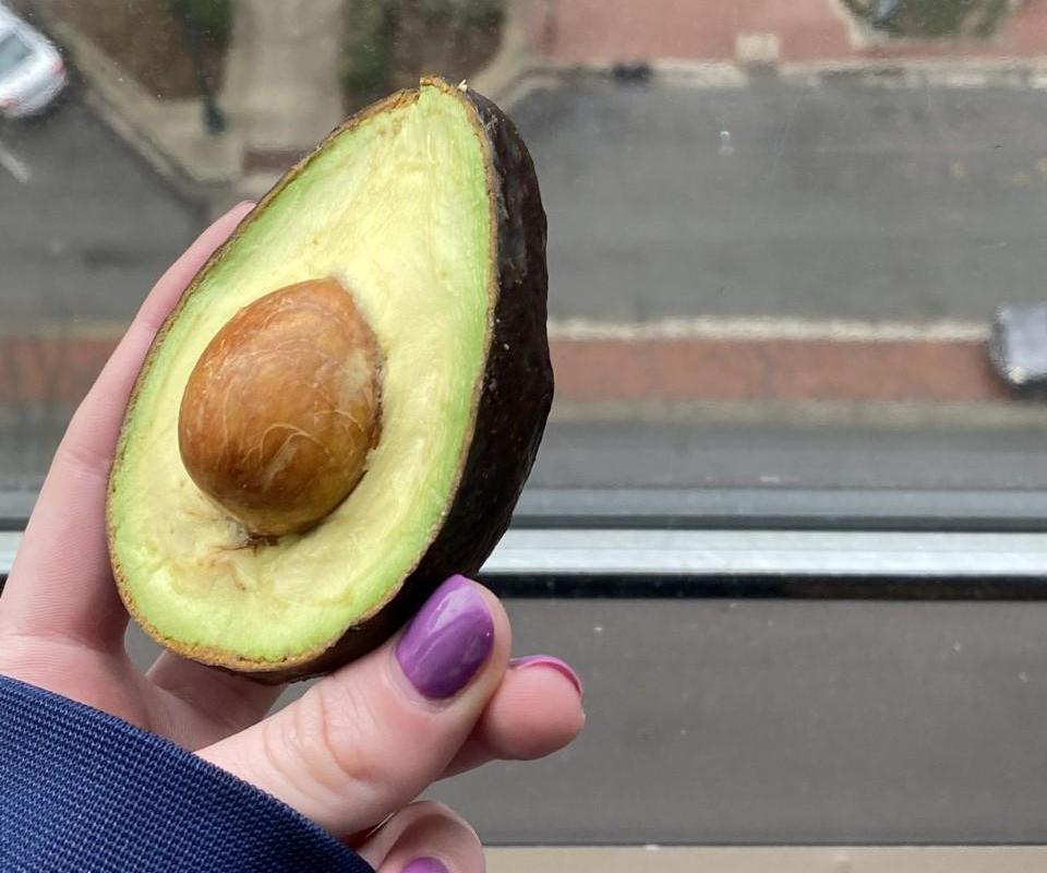 Summertime Avocado Smoothie
