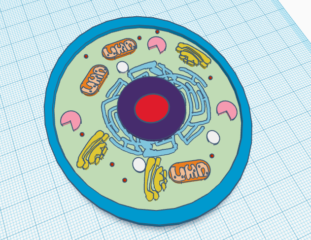 3d Model Animal Cell for the Classroom