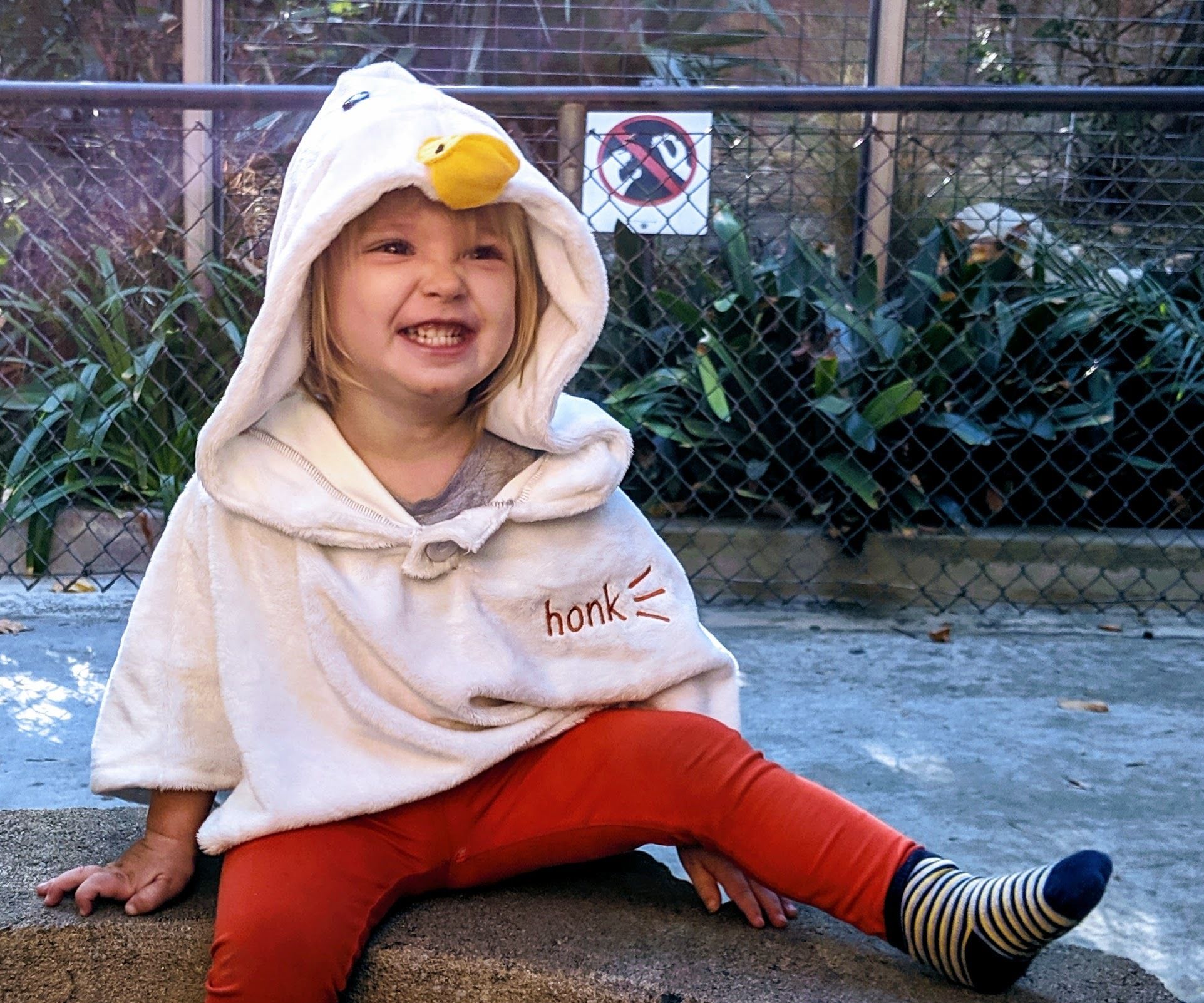 Untitled Toddler Game! Horrible Goose Costume for Kids