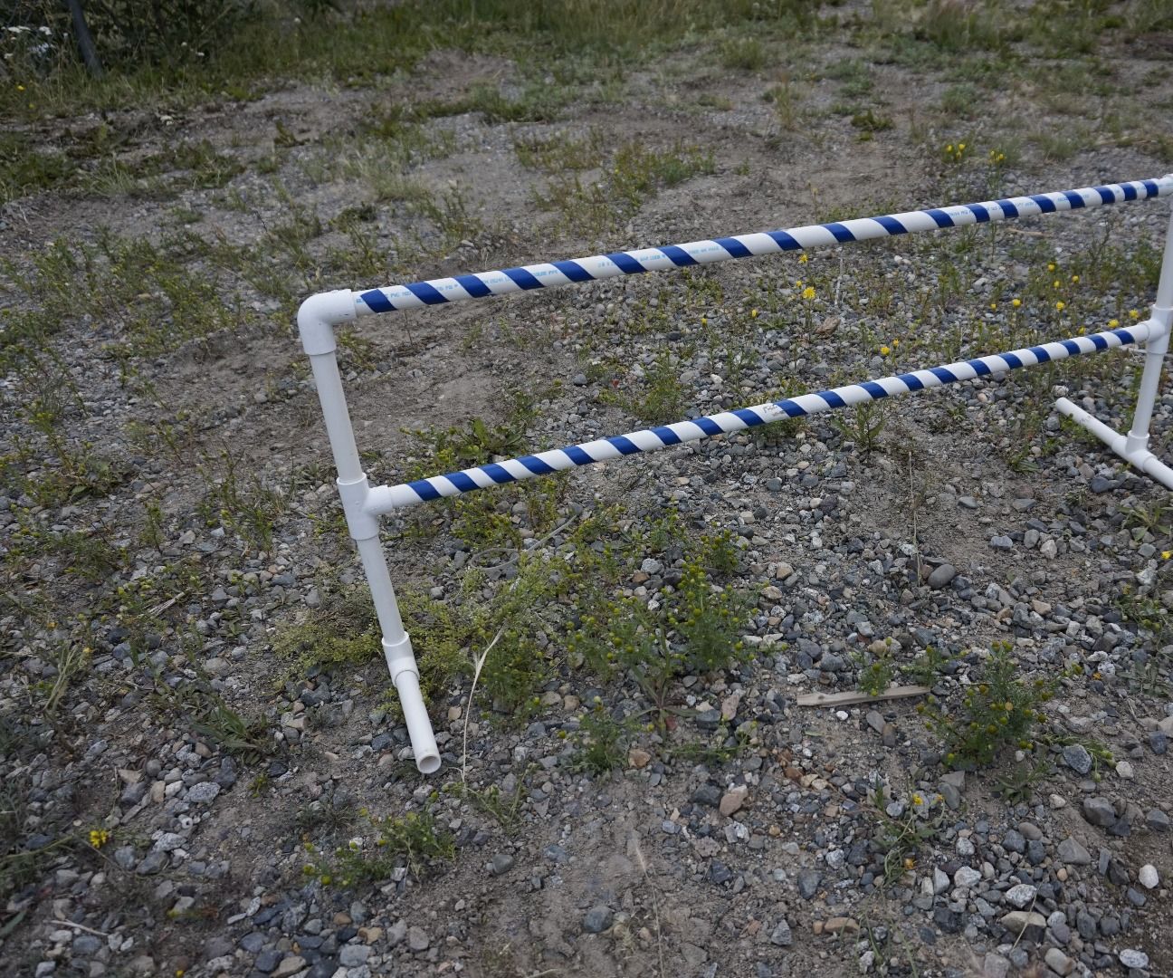 Adjustable Two Tier PVC Dog Jump