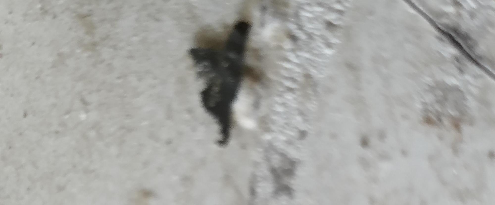 How to Repair Rusty Holes