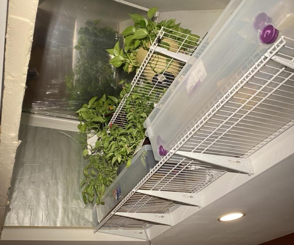 Automated Skylight Greenhouse