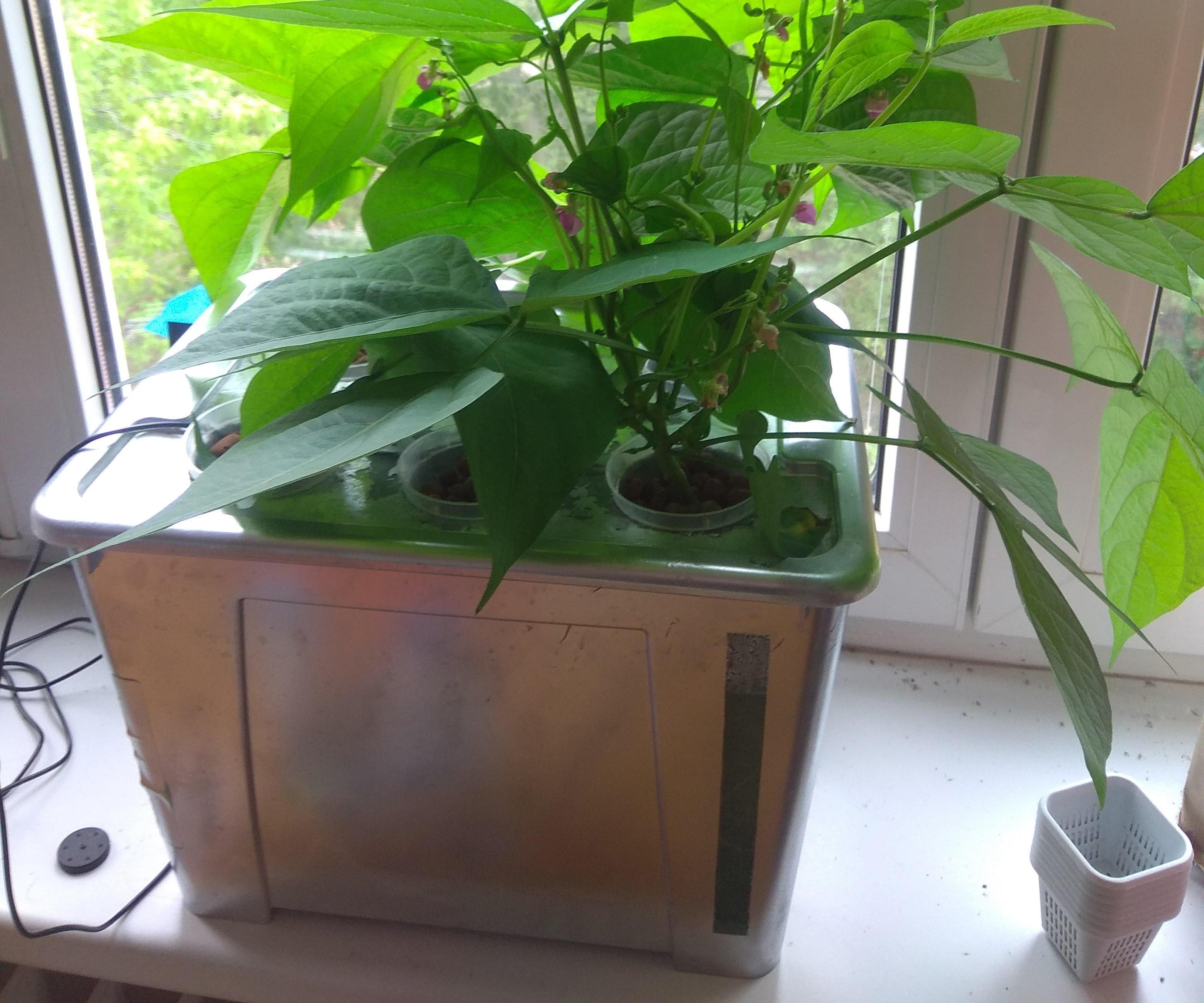 Simple Solar Powered Deep Hydroponics (SiSoPoDH)