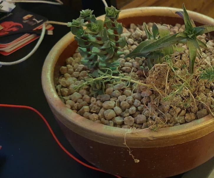 (intento de) Sensor de humedad