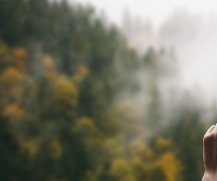 Tips for Mobile Photography