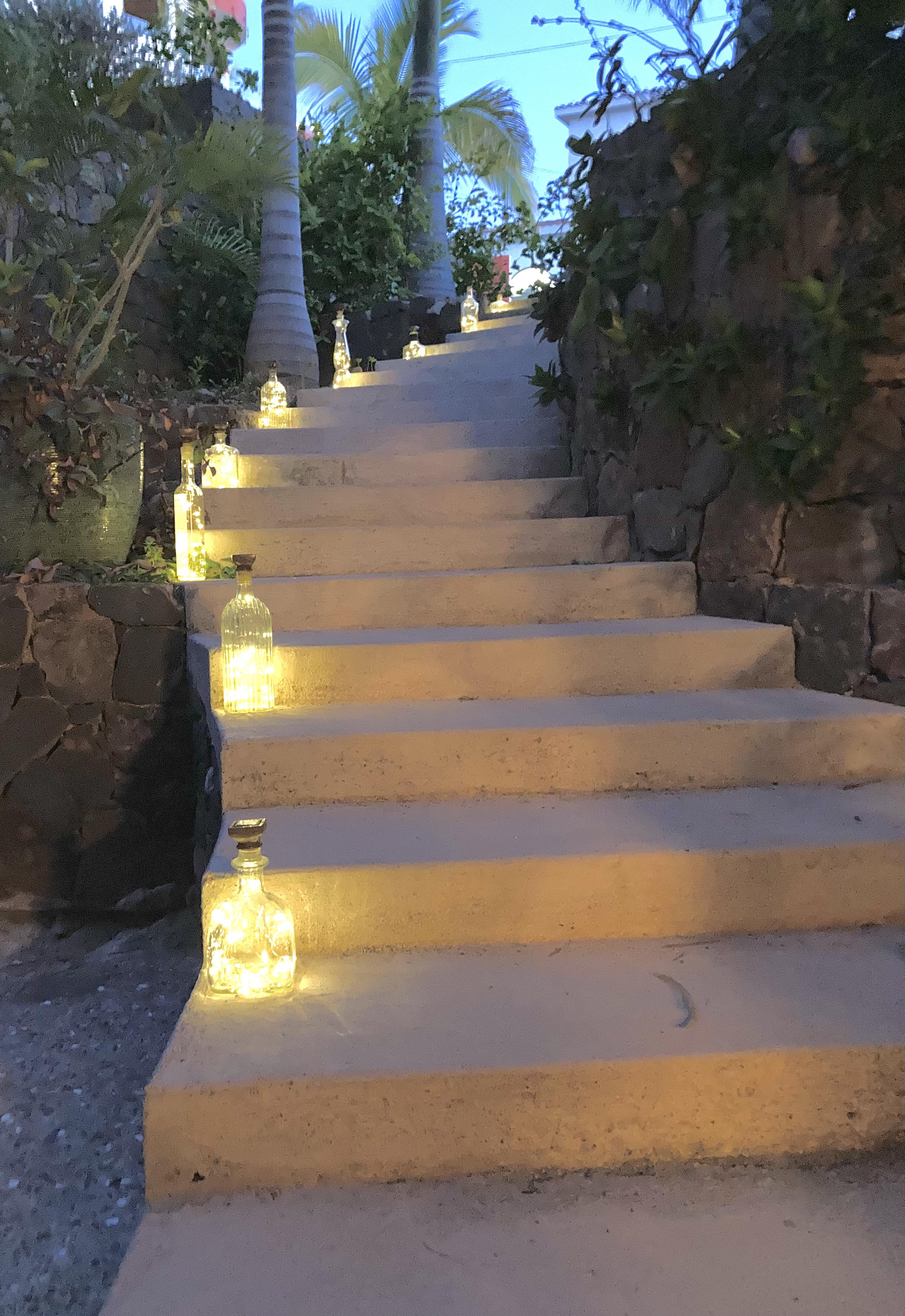 Tequila Bottle Solar Step Lights