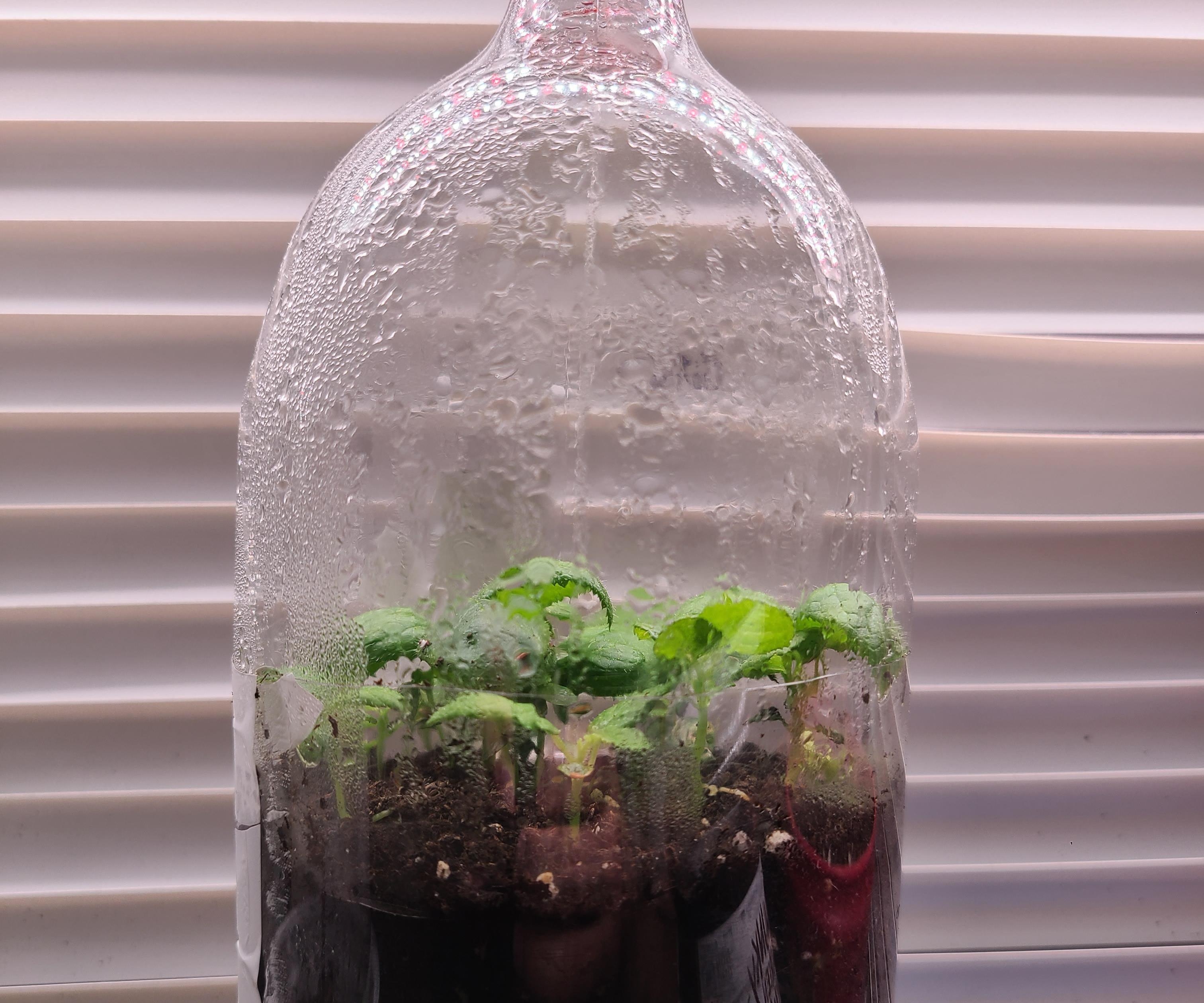 2 Liter Greenhouse