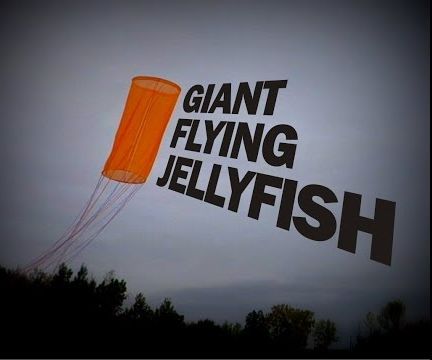 Giant Flying Jellyfish