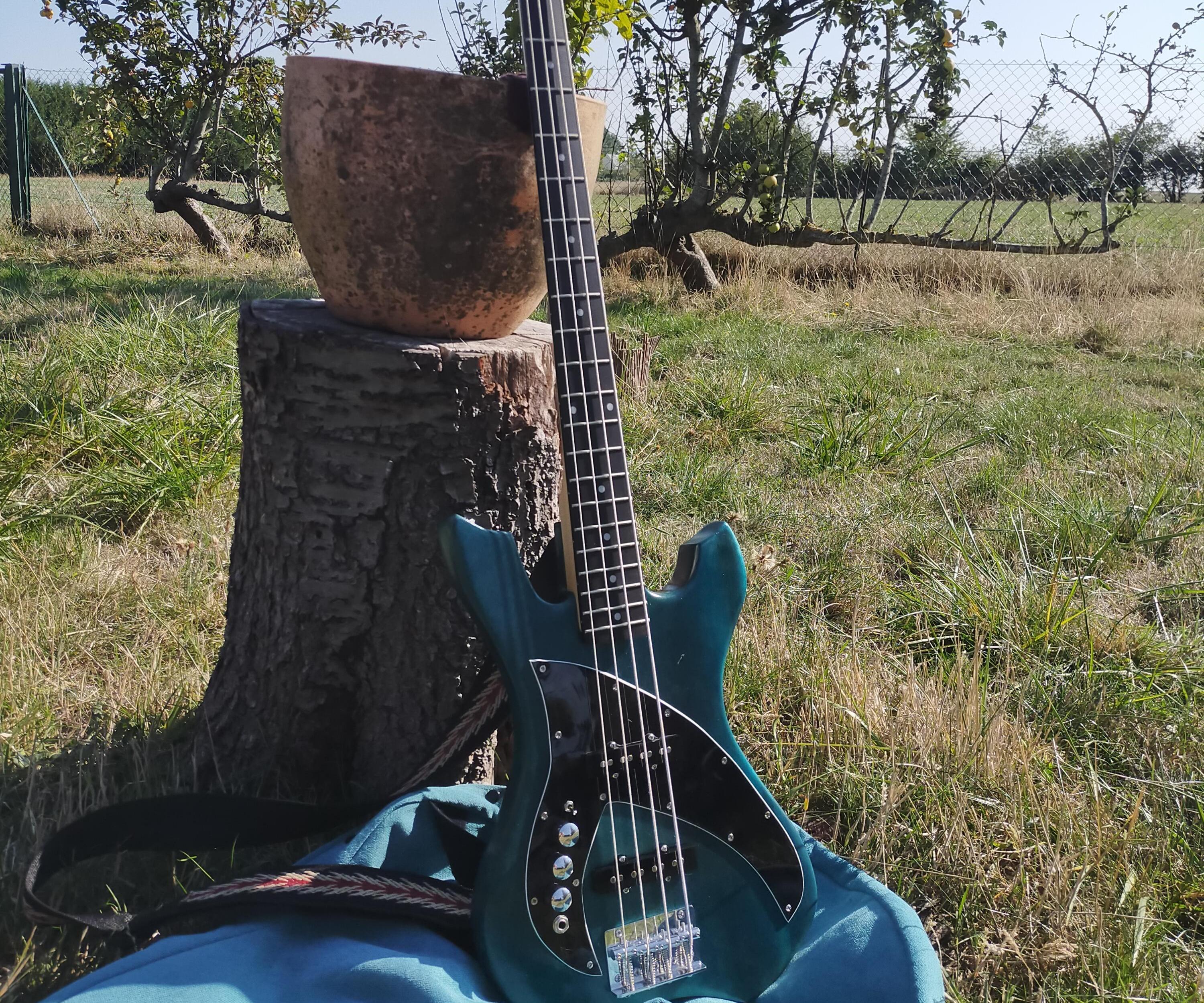 Build a Left-handed Bass / Guitar From a Right-handed Kit